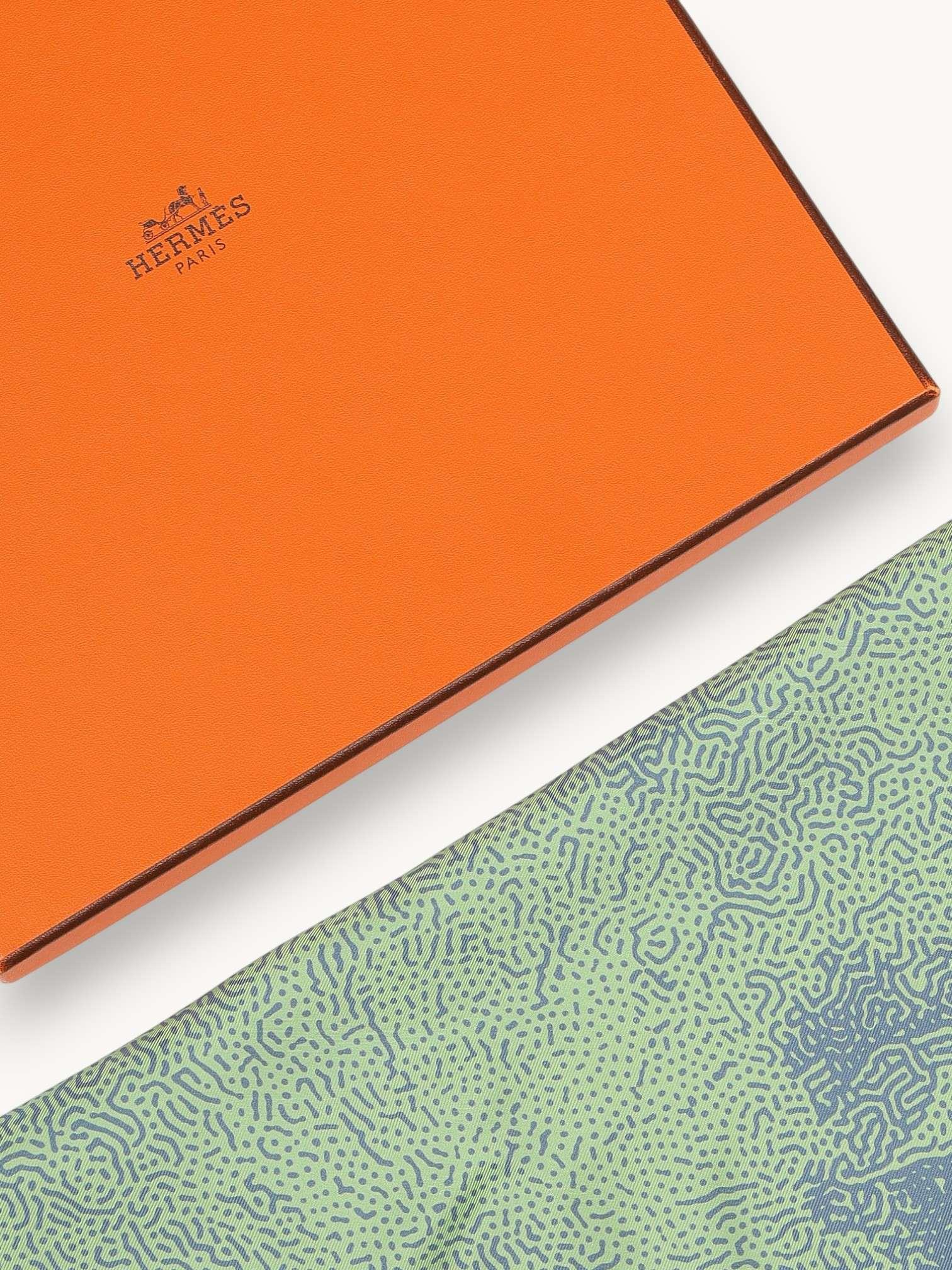 Hermes  , фото 3