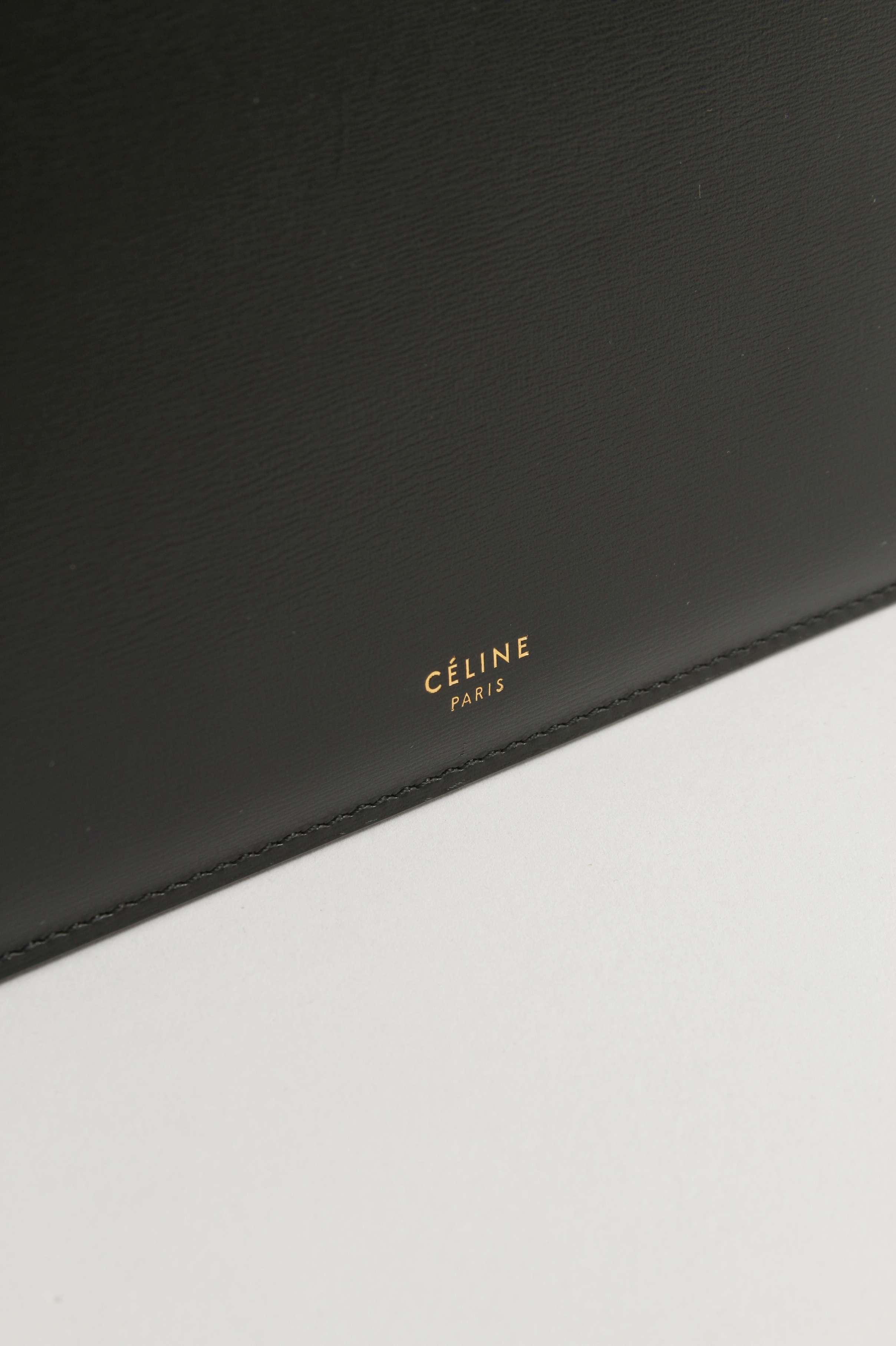 Celine Clasp, фото 4