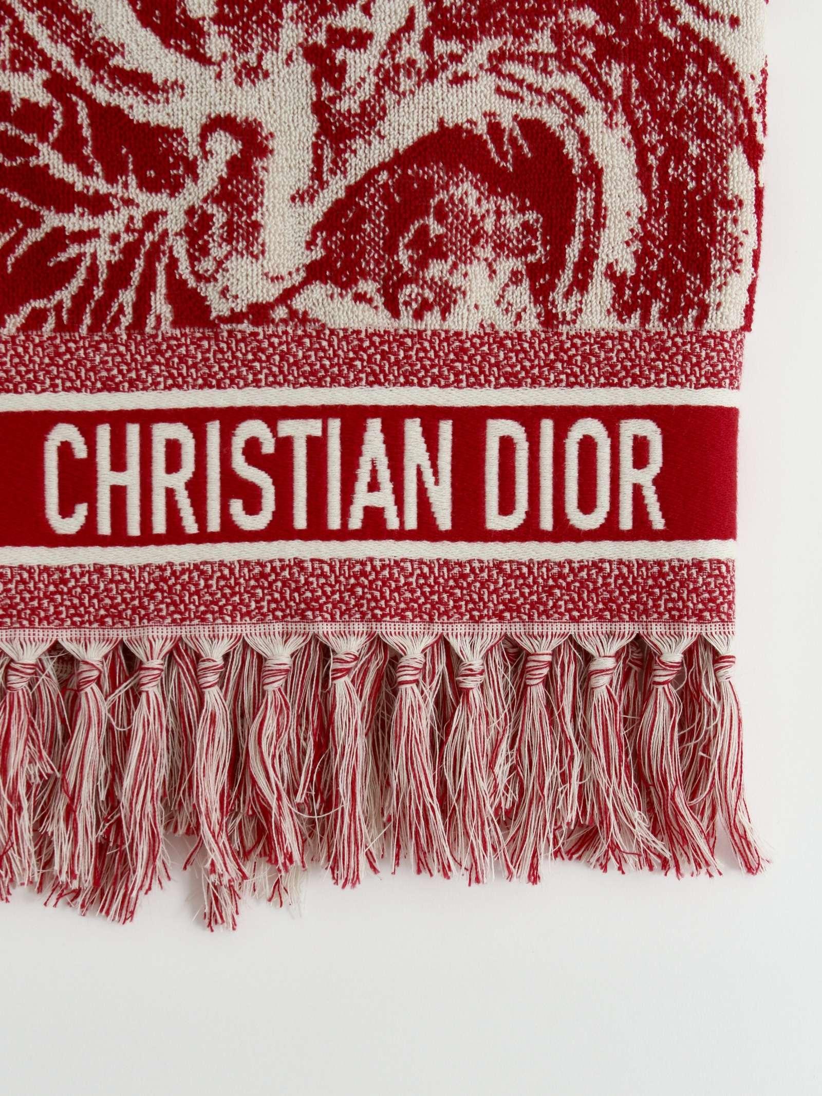 Christian Dior Towel, фото 1