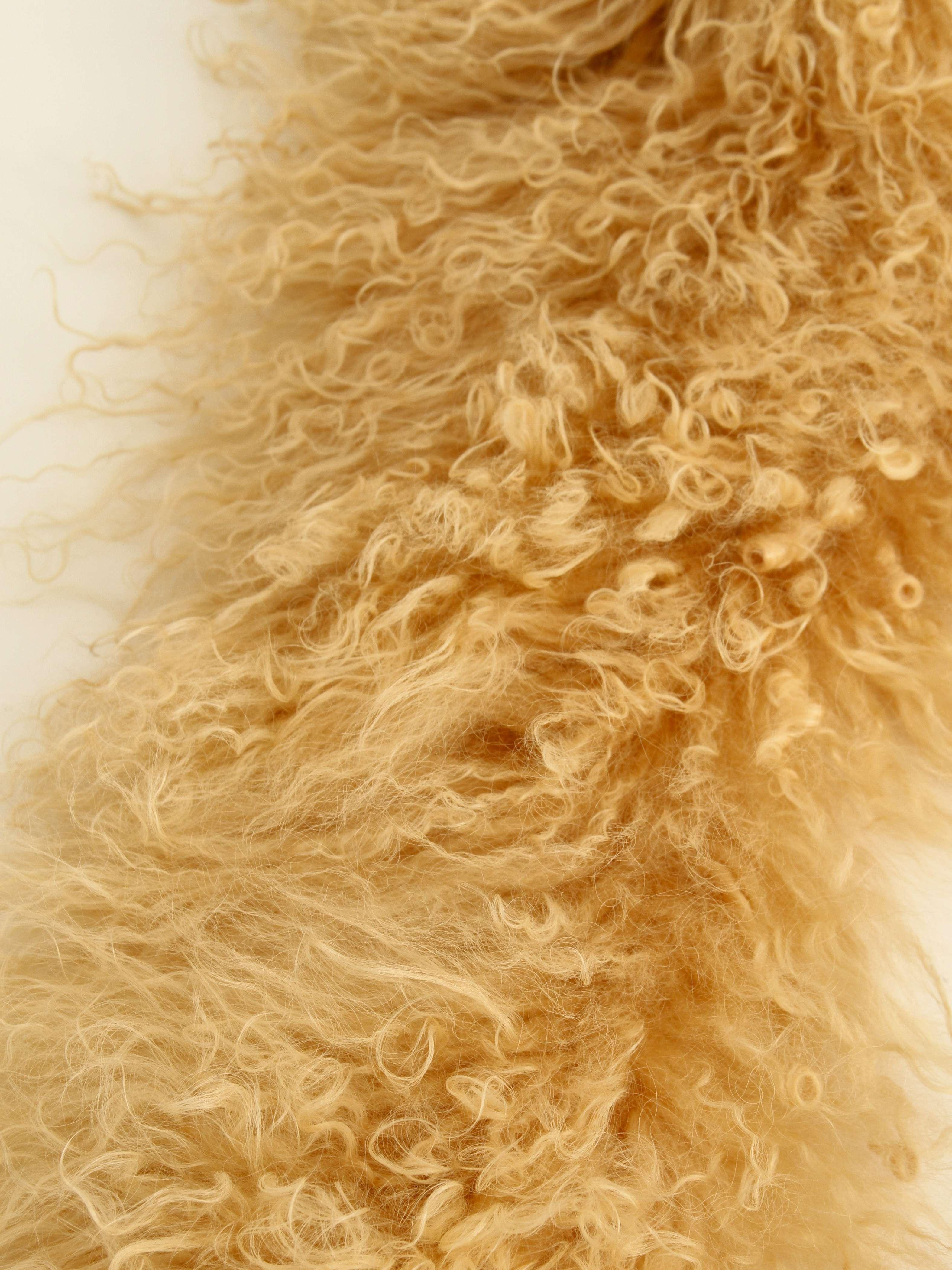 Prada  , фото 4