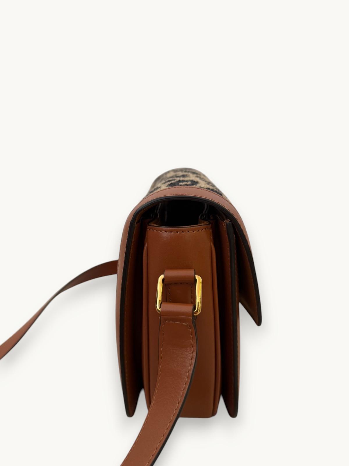 Celine Triomphe , фото 4