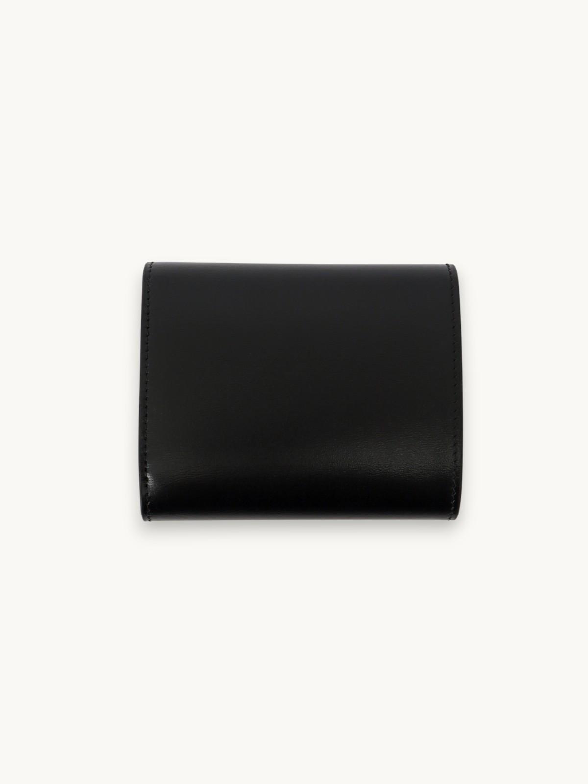 Celine Triomphe , фото 2
