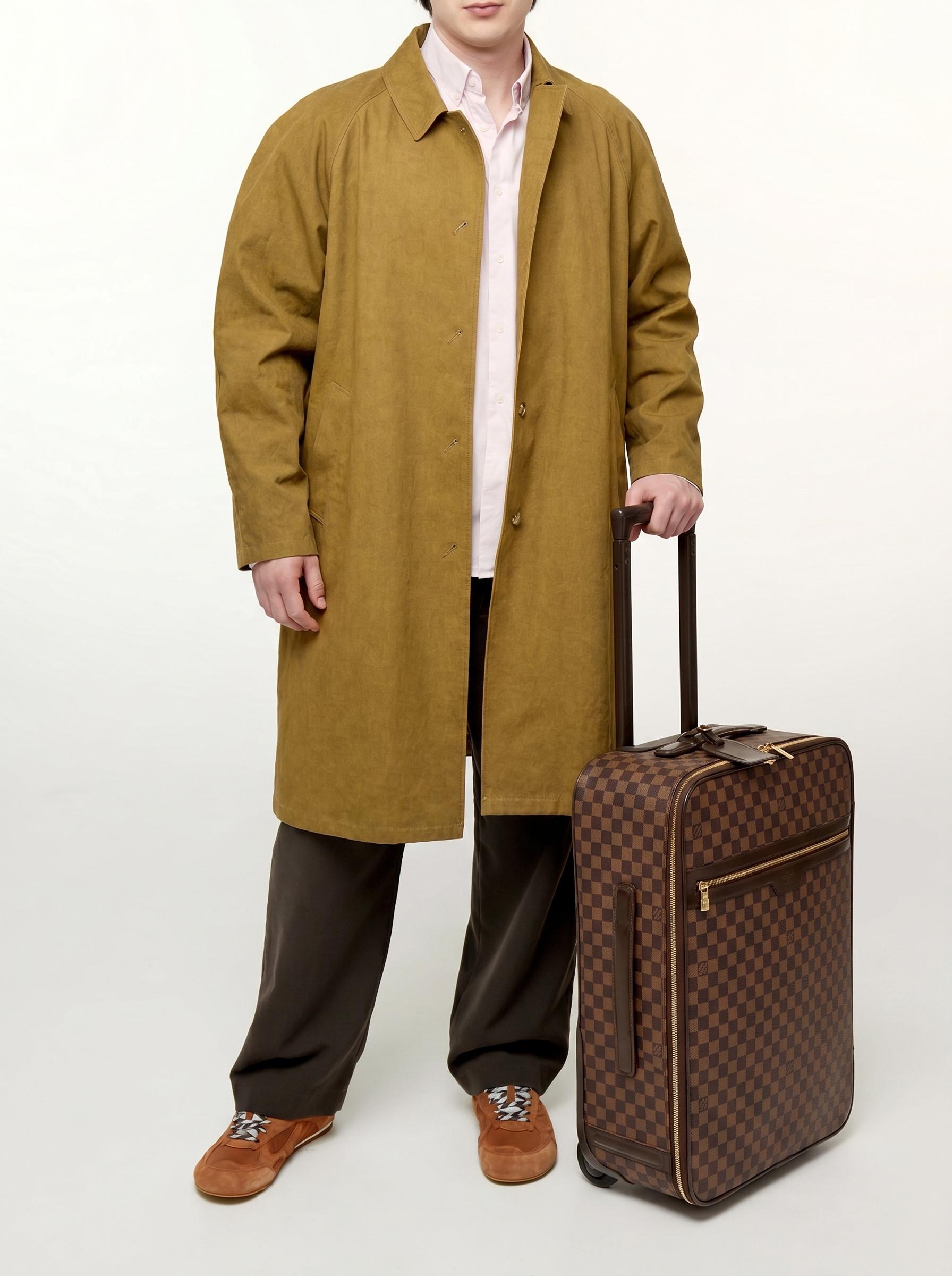 Louis Vuitton Pegase , фото 2
