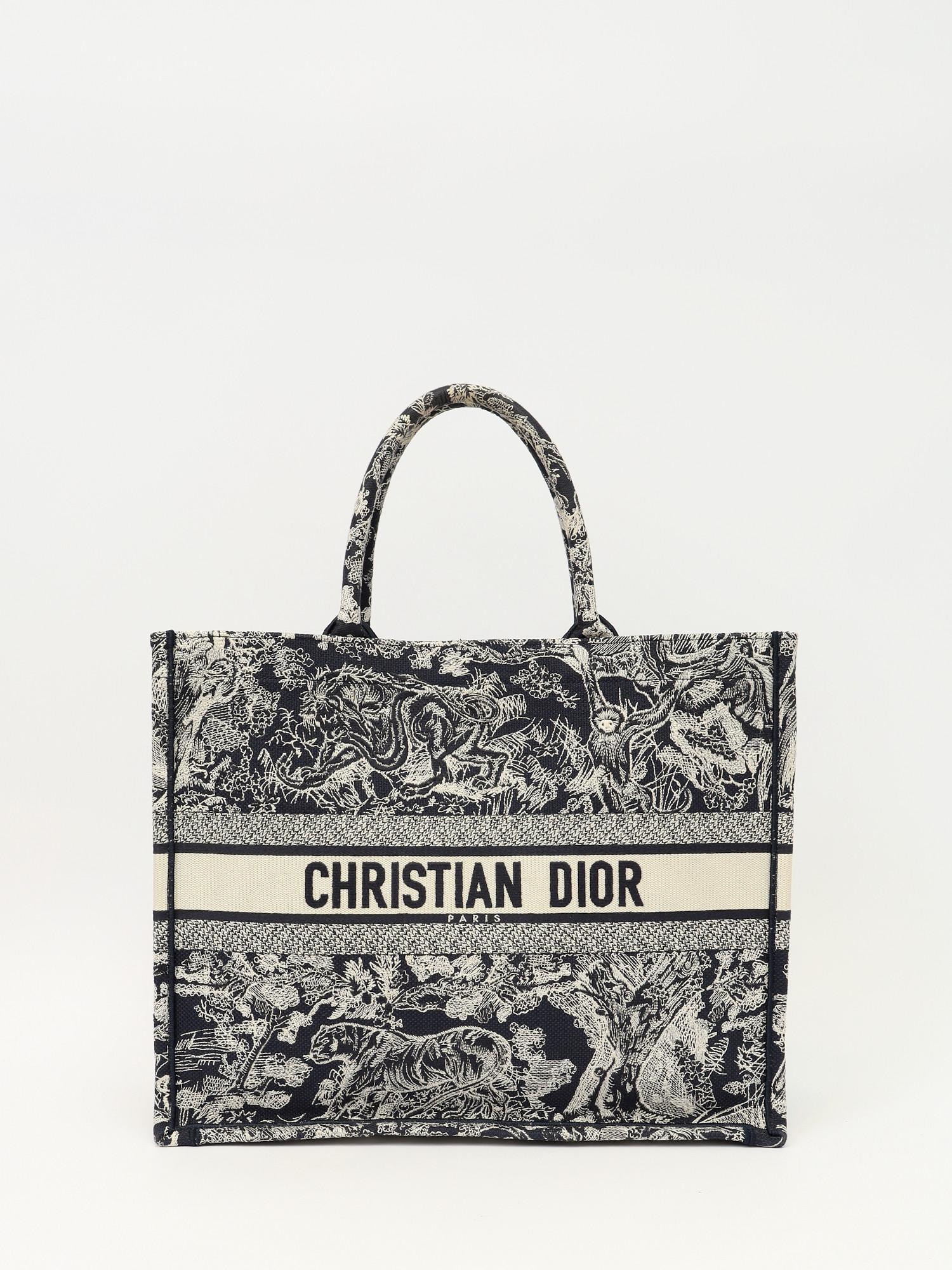 Dior Book Tote , фото 1
