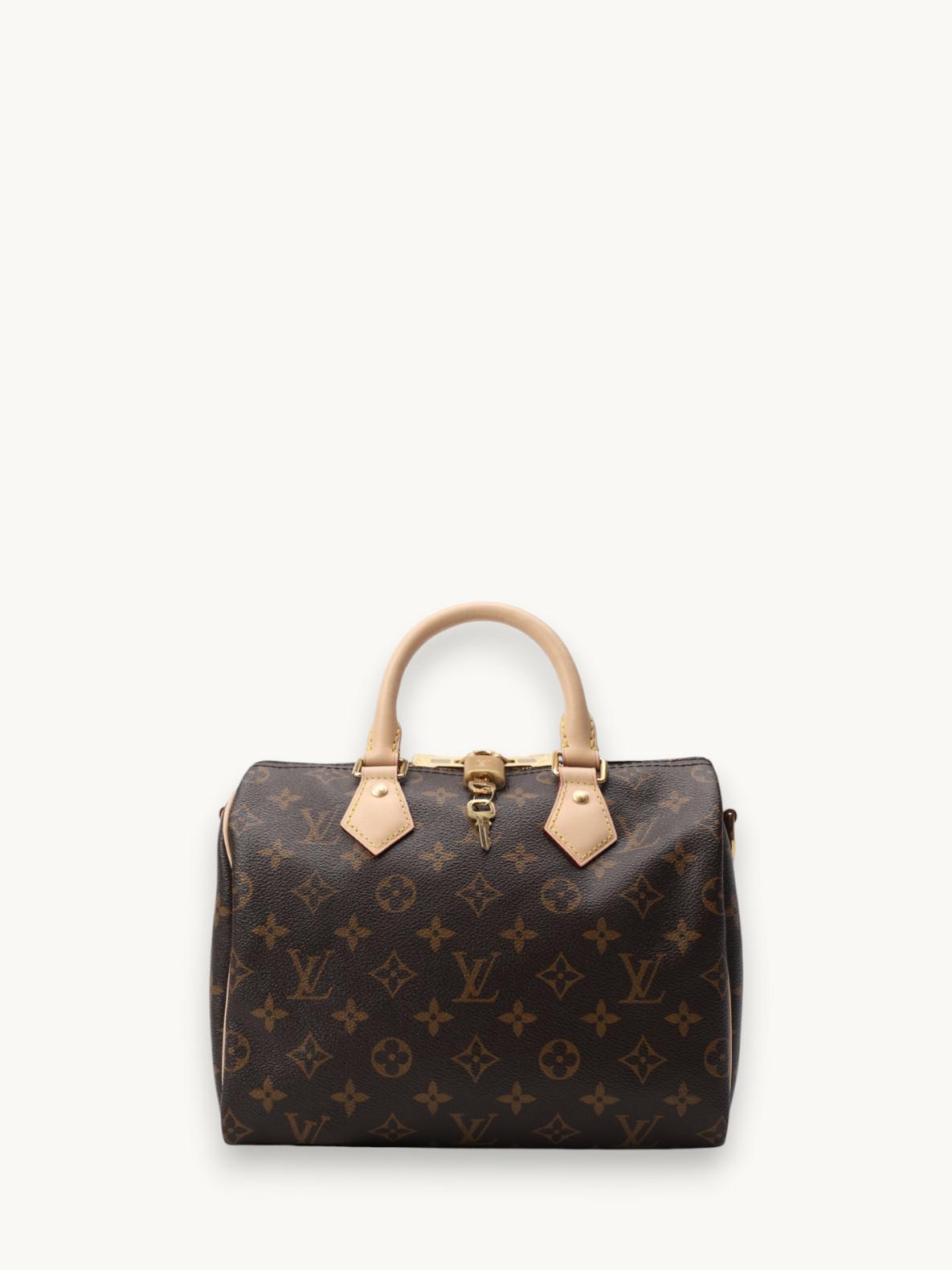 Louis Vuitton Speedy 25, фото 1