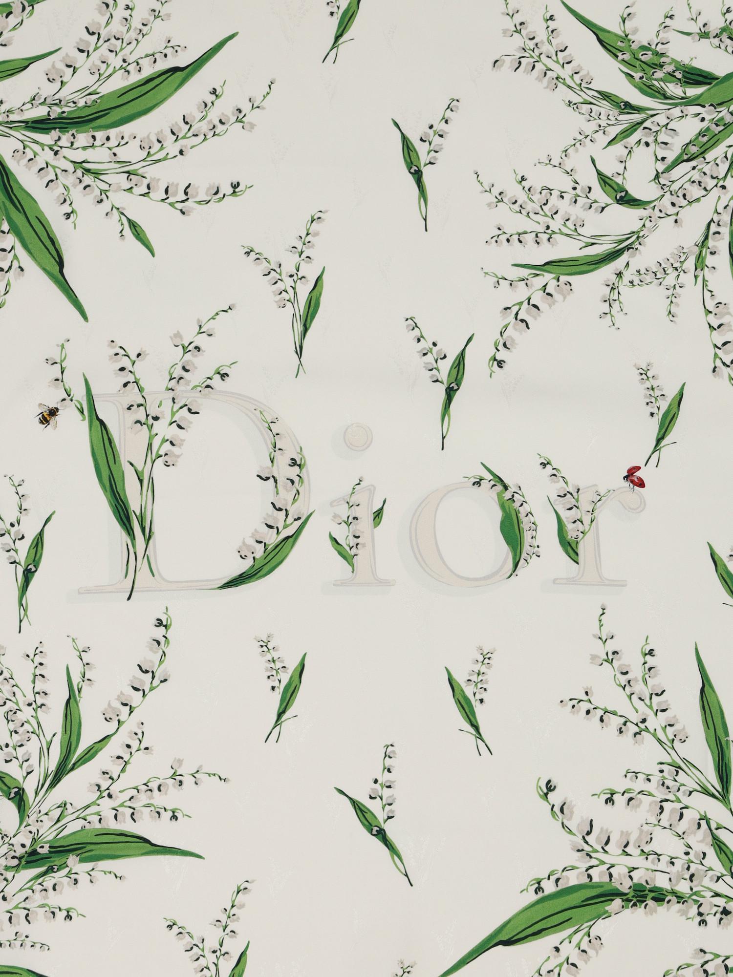 Dior  , фото 3