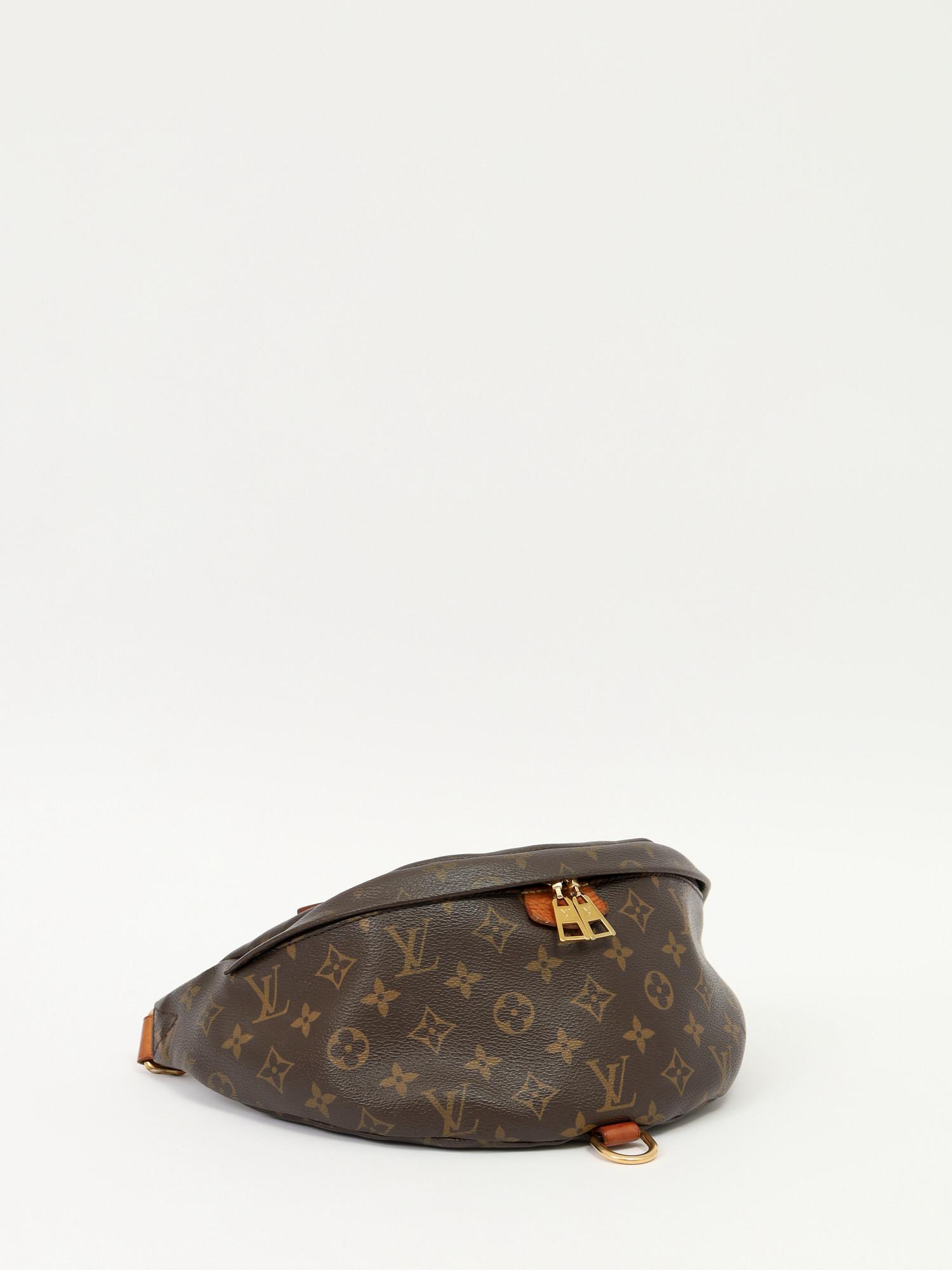 Louis Vuitton Bumbag , фото 3