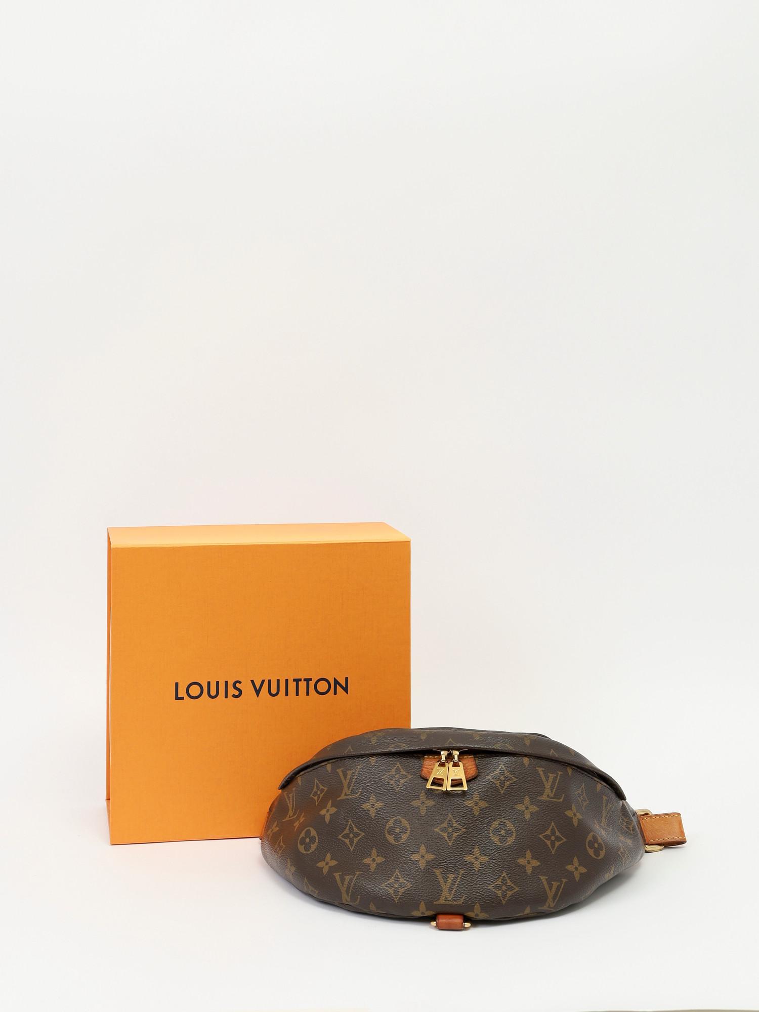 Louis Vuitton Bumbag , фото 5