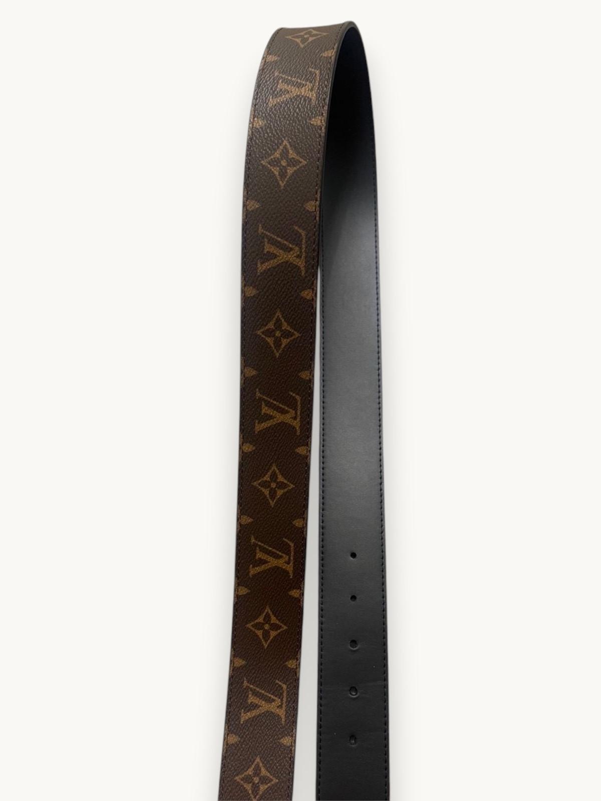 Louis Vuitton  , фото 5