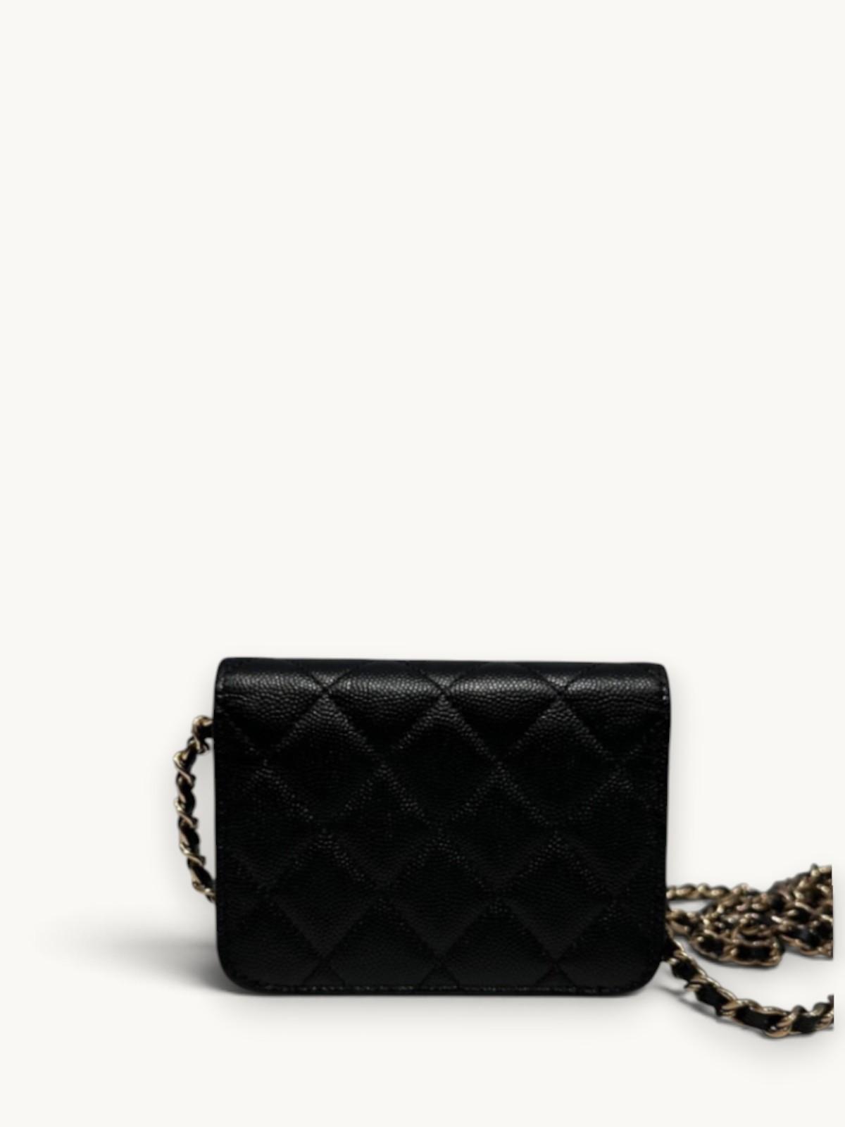 Chanel WOC , фото 3