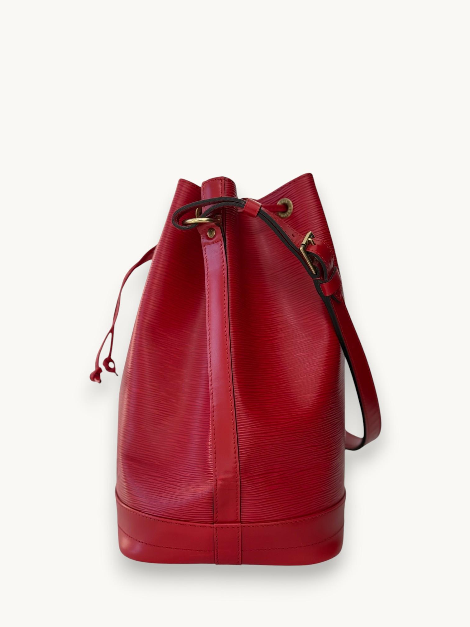 Louis Vuitton Noe , фото 5