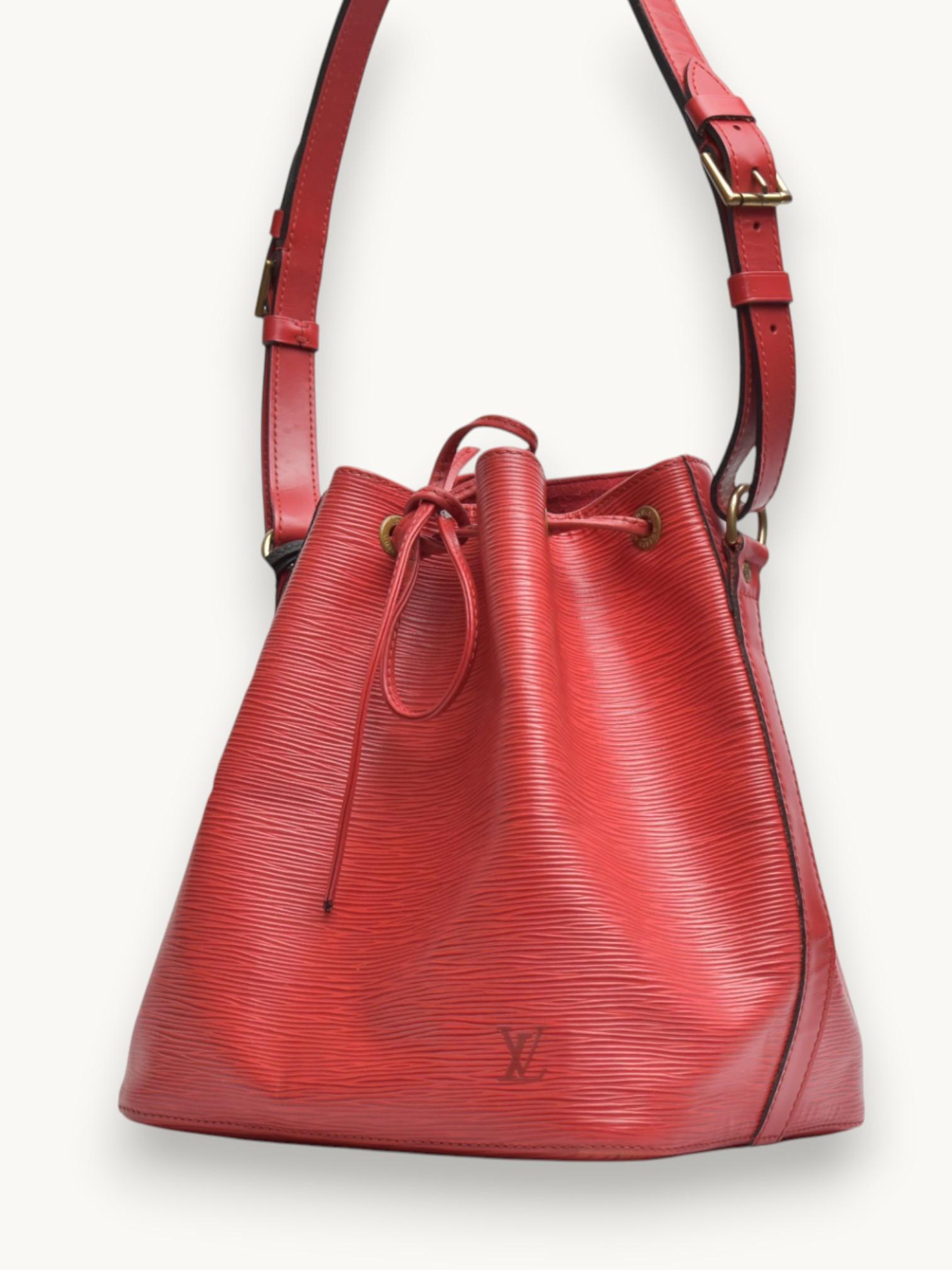 Louis Vuitton Noe , фото 3