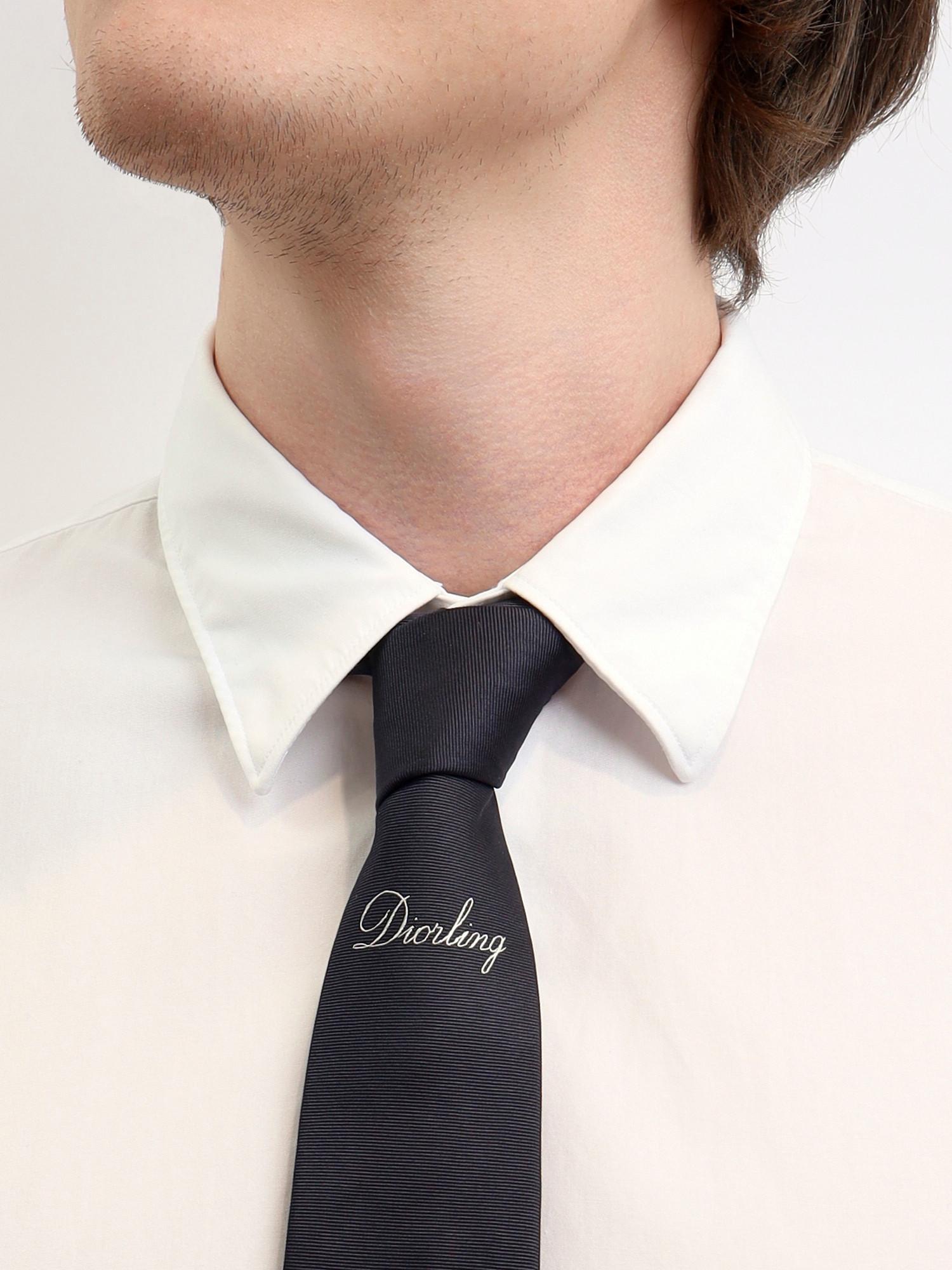Dior Tie , фото 2