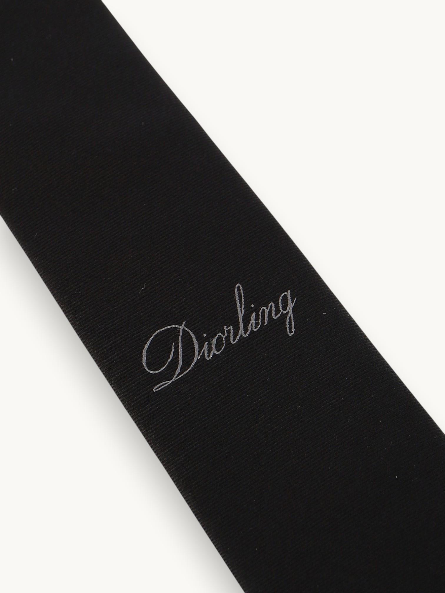 Dior Tie , фото 5