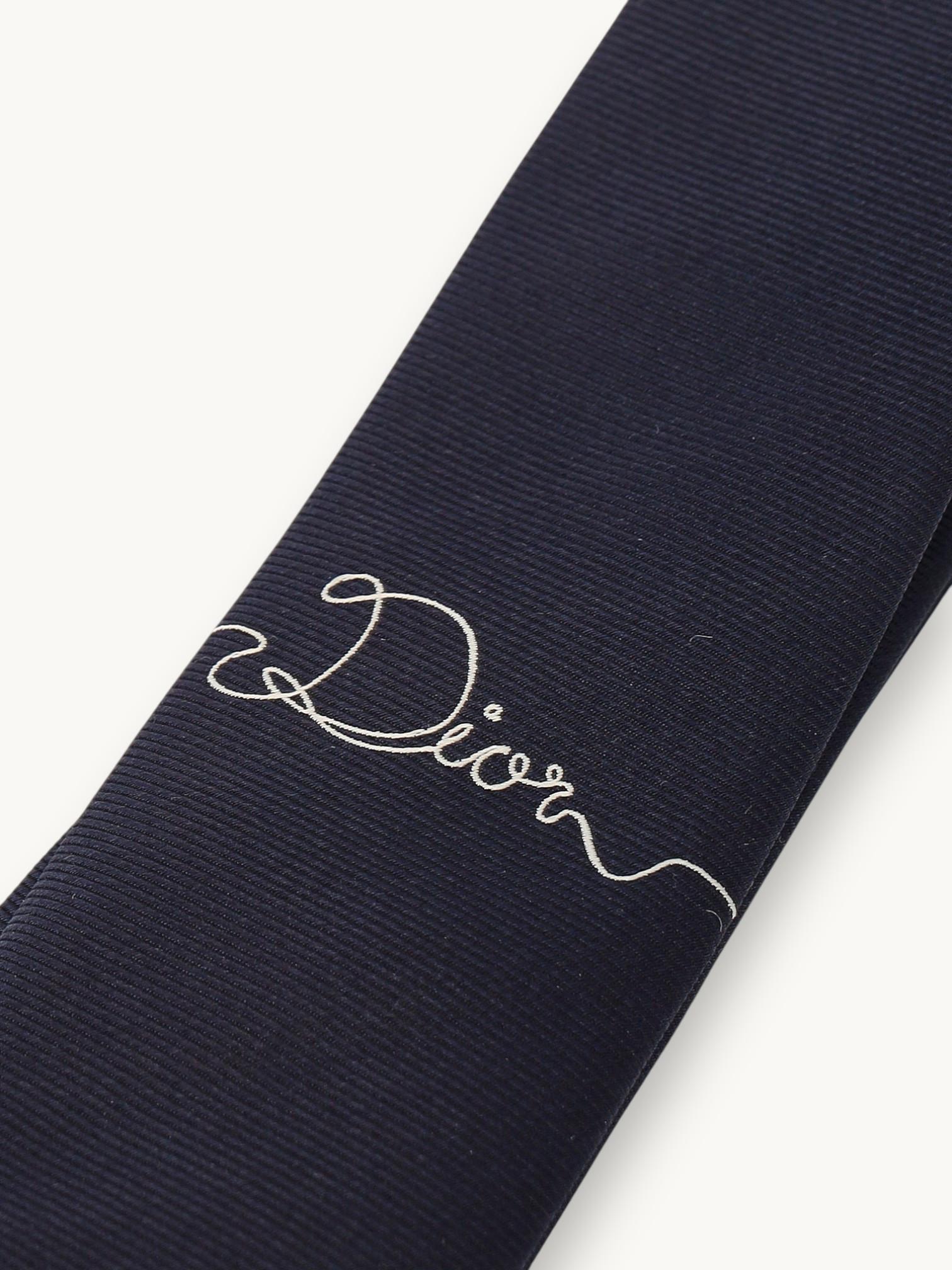 Dior Tie , фото 5
