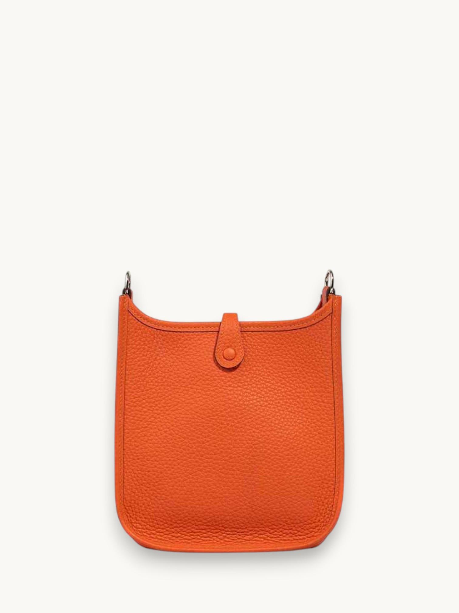 Hermes Evelyne 16, фото 3