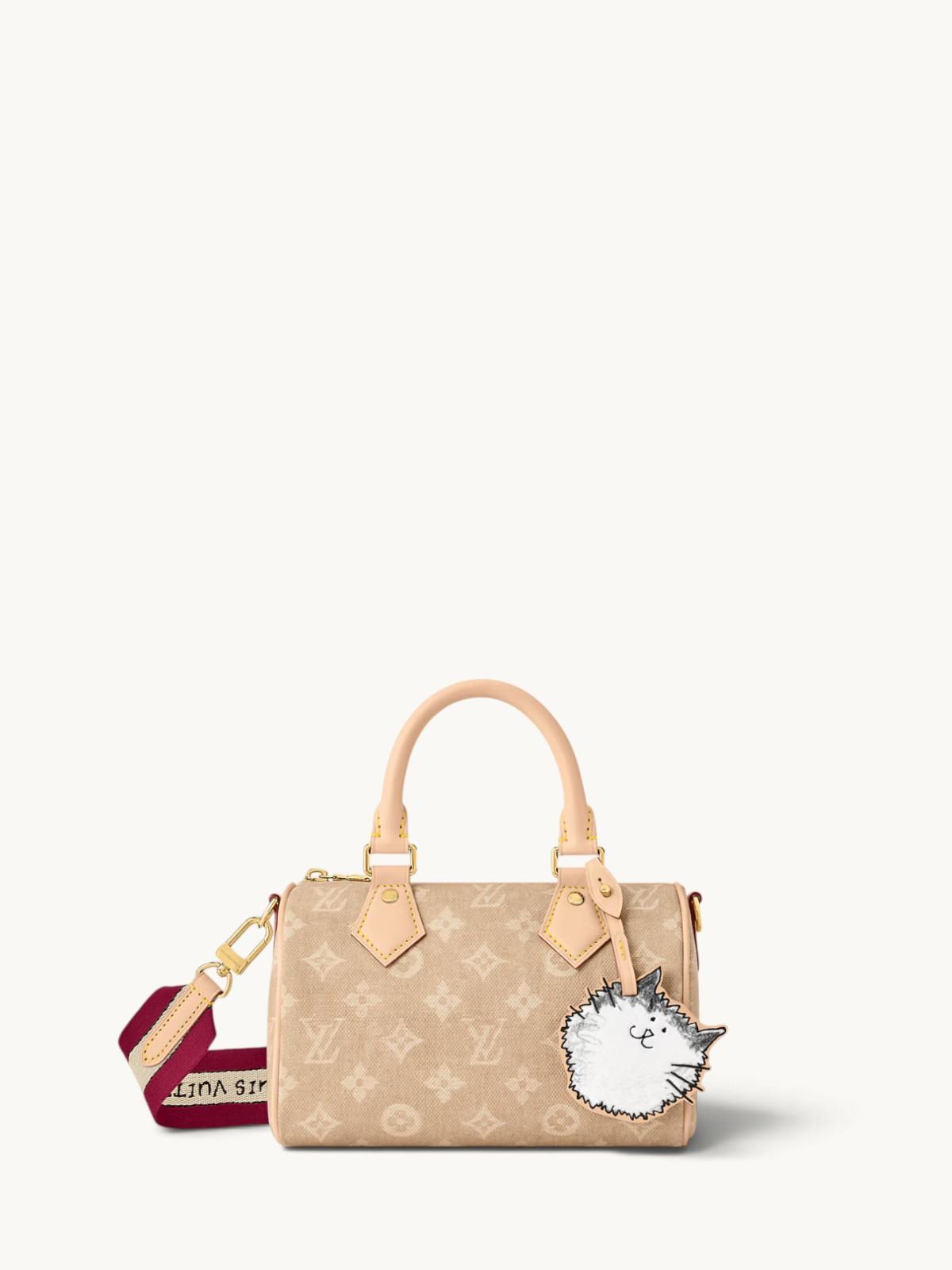 Louis Vuitton Speedy 20, фото 1