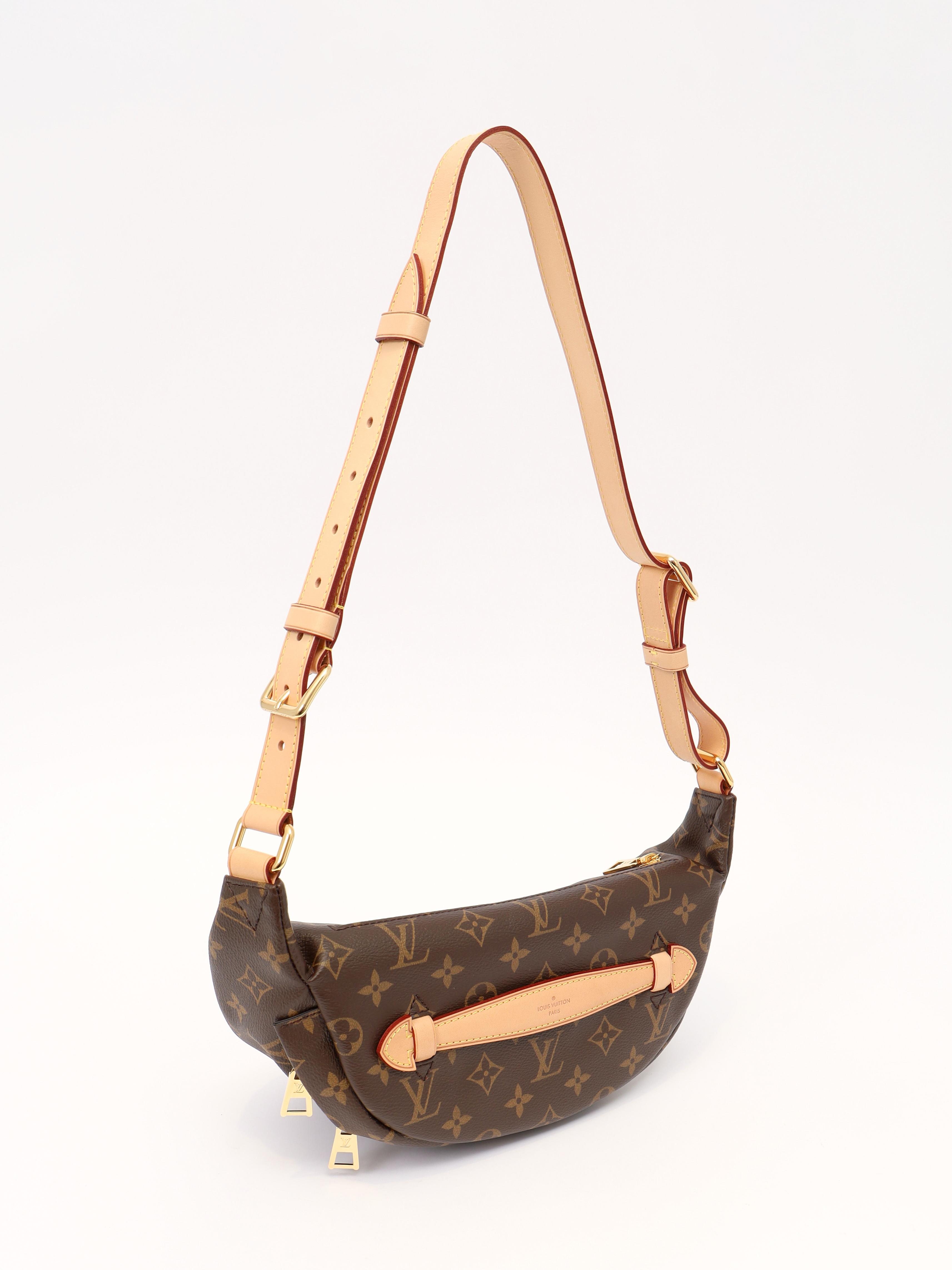 Louis Vuitton Bumbag , фото 5