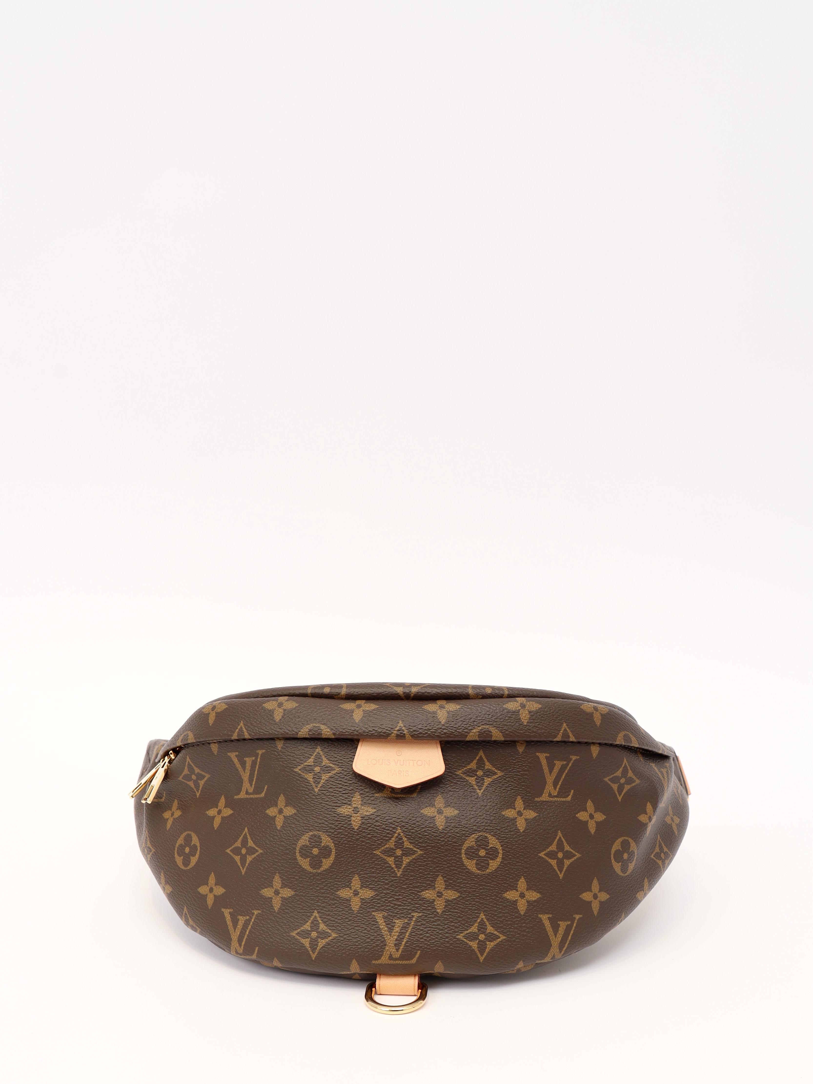 Louis Vuitton Bumbag , фото 1