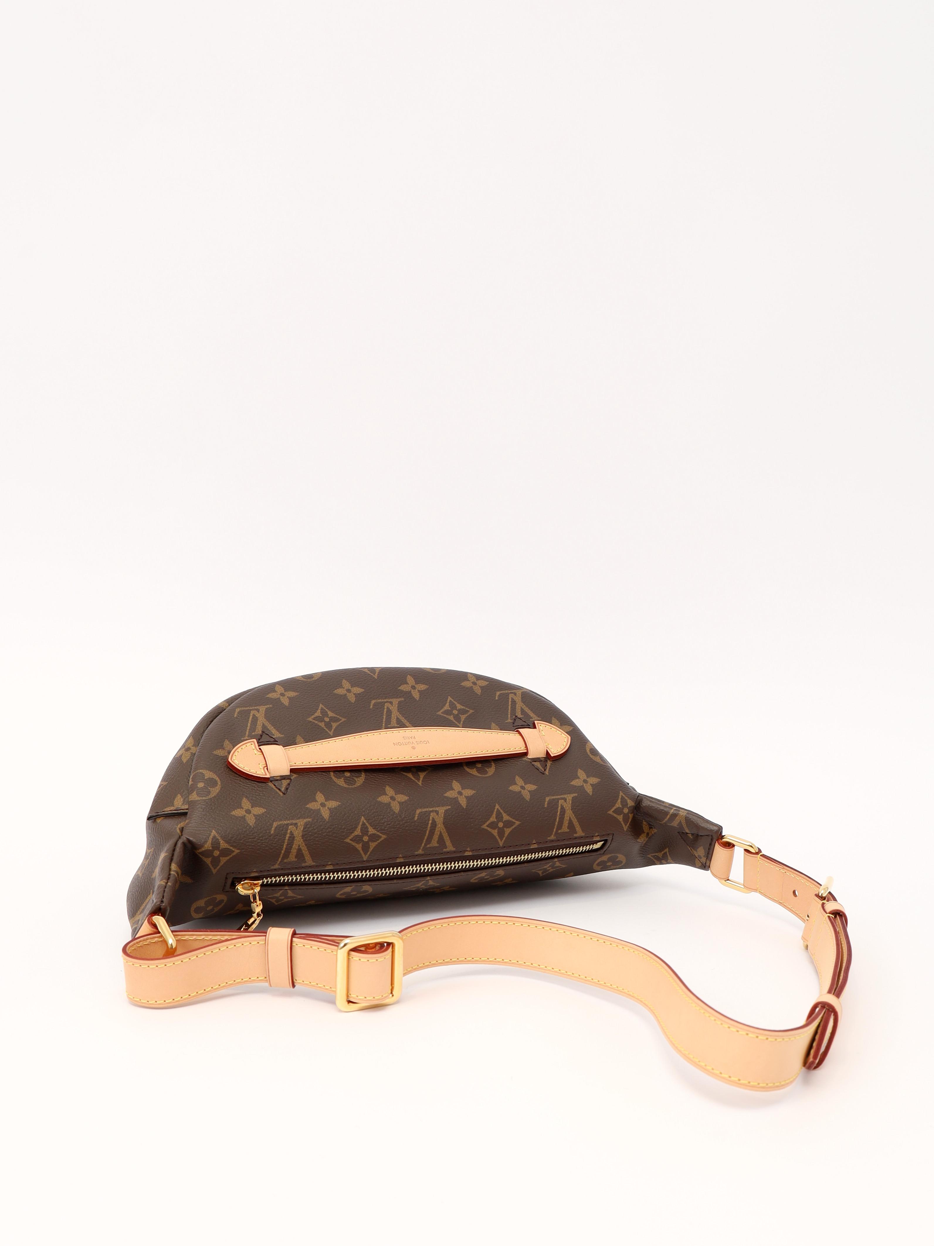 Louis Vuitton Bumbag , фото 4