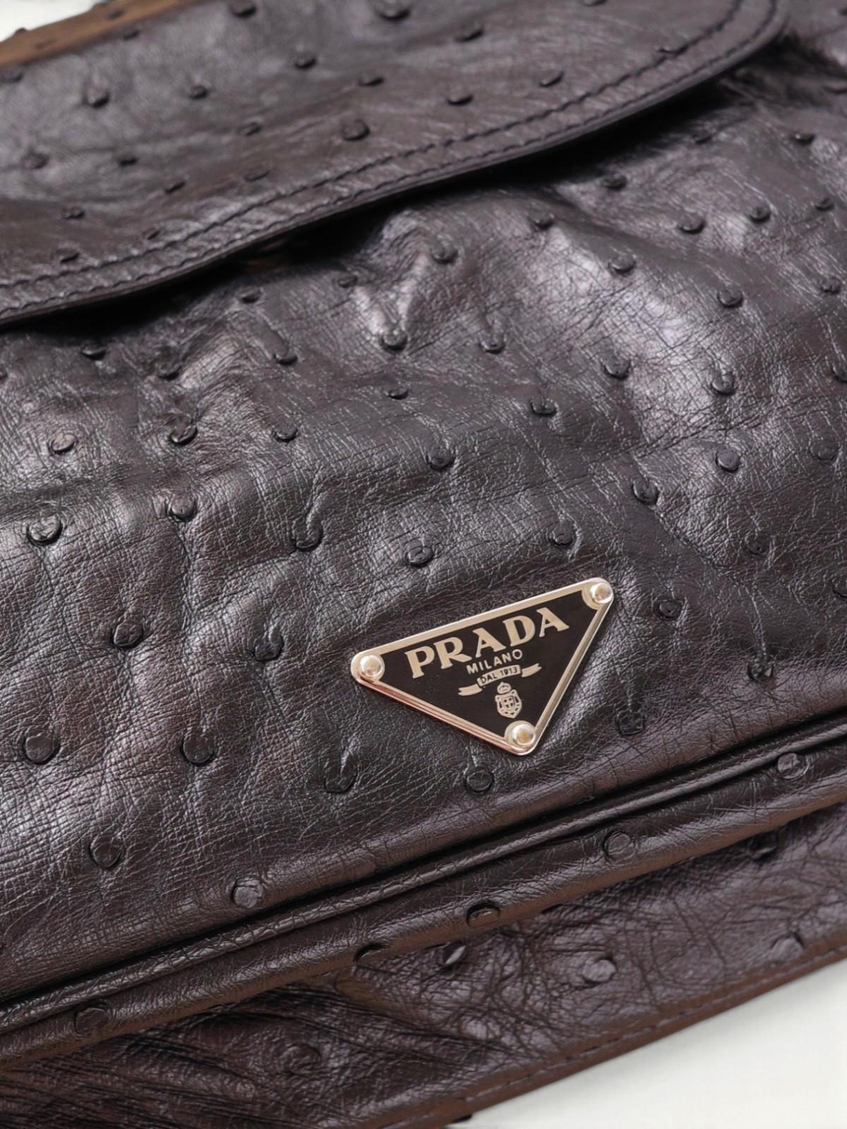 Prada Hoop , фото 5