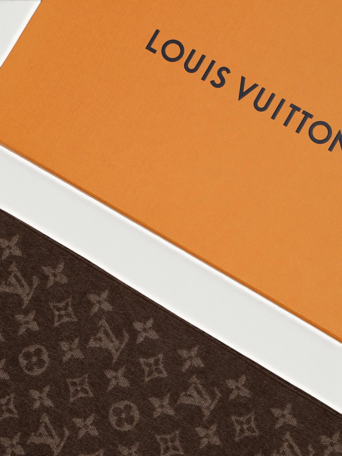 Louis Vuitton  , фото 3