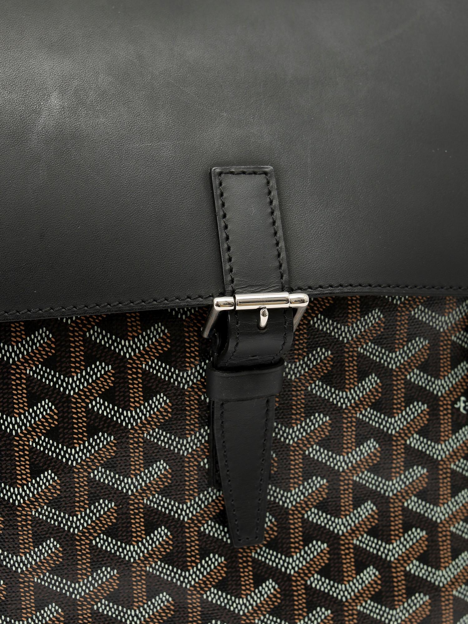 Goyard Alpin , фото 5