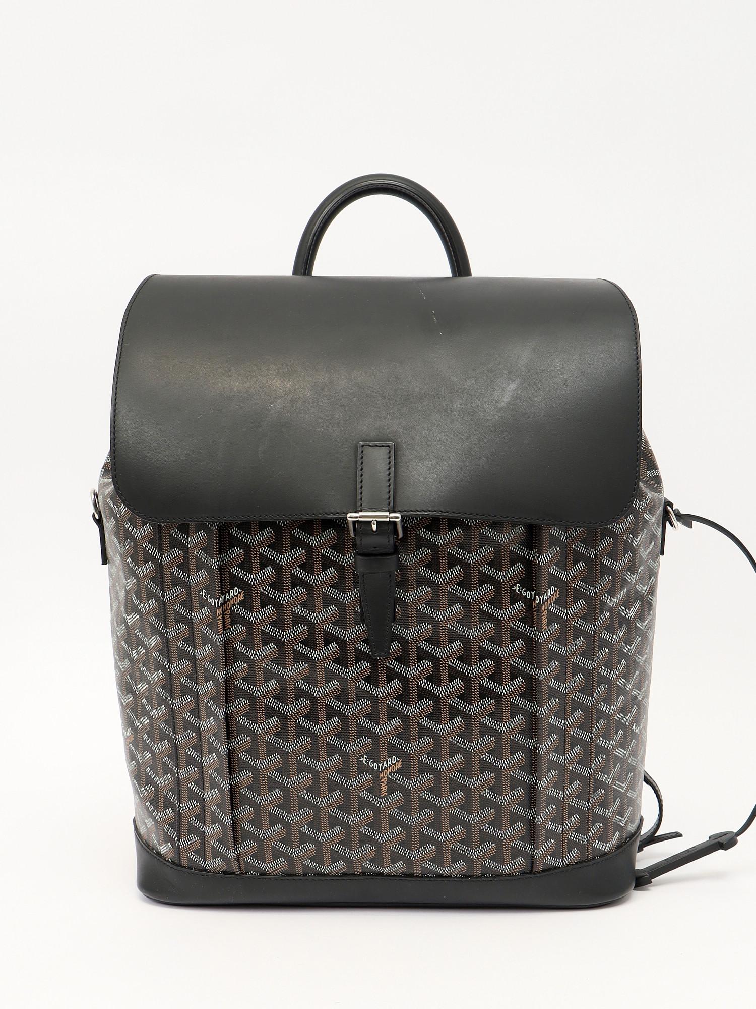 Goyard Alpin , фото 1