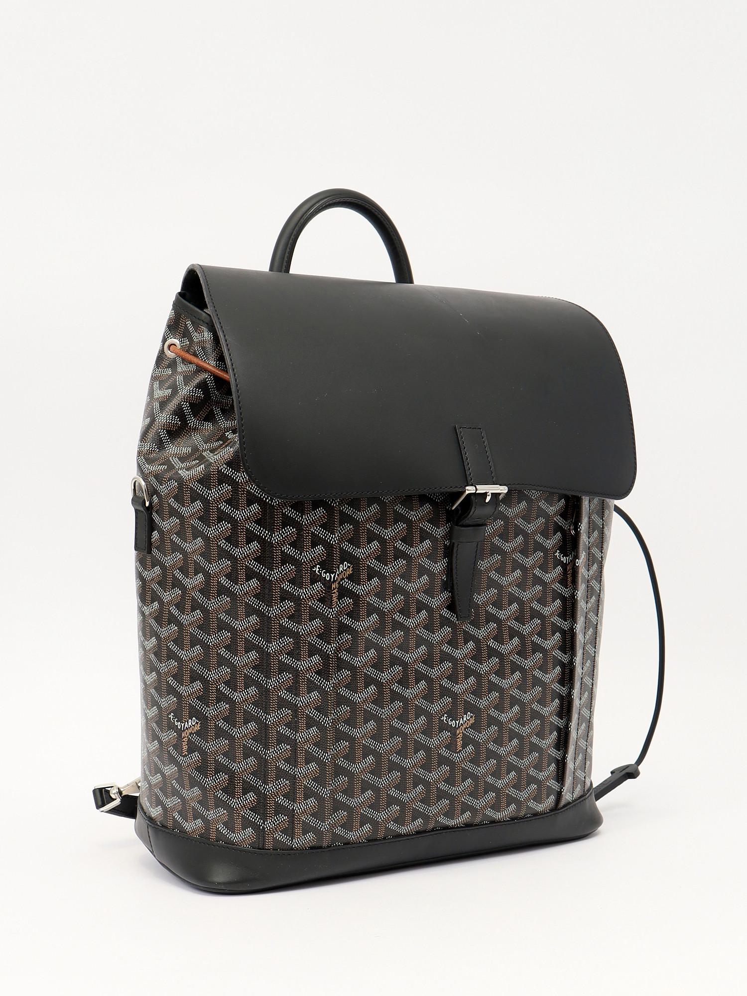 Goyard Alpin , фото 3
