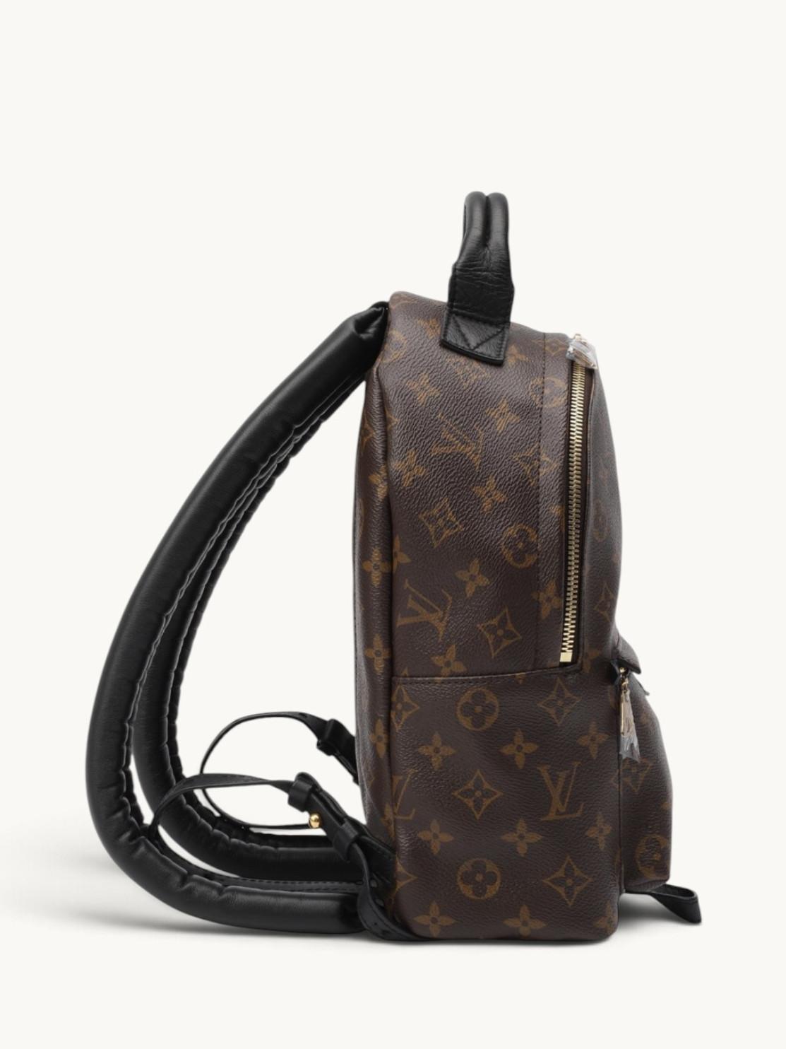 Louis Vuitton Palm Springs , фото 4