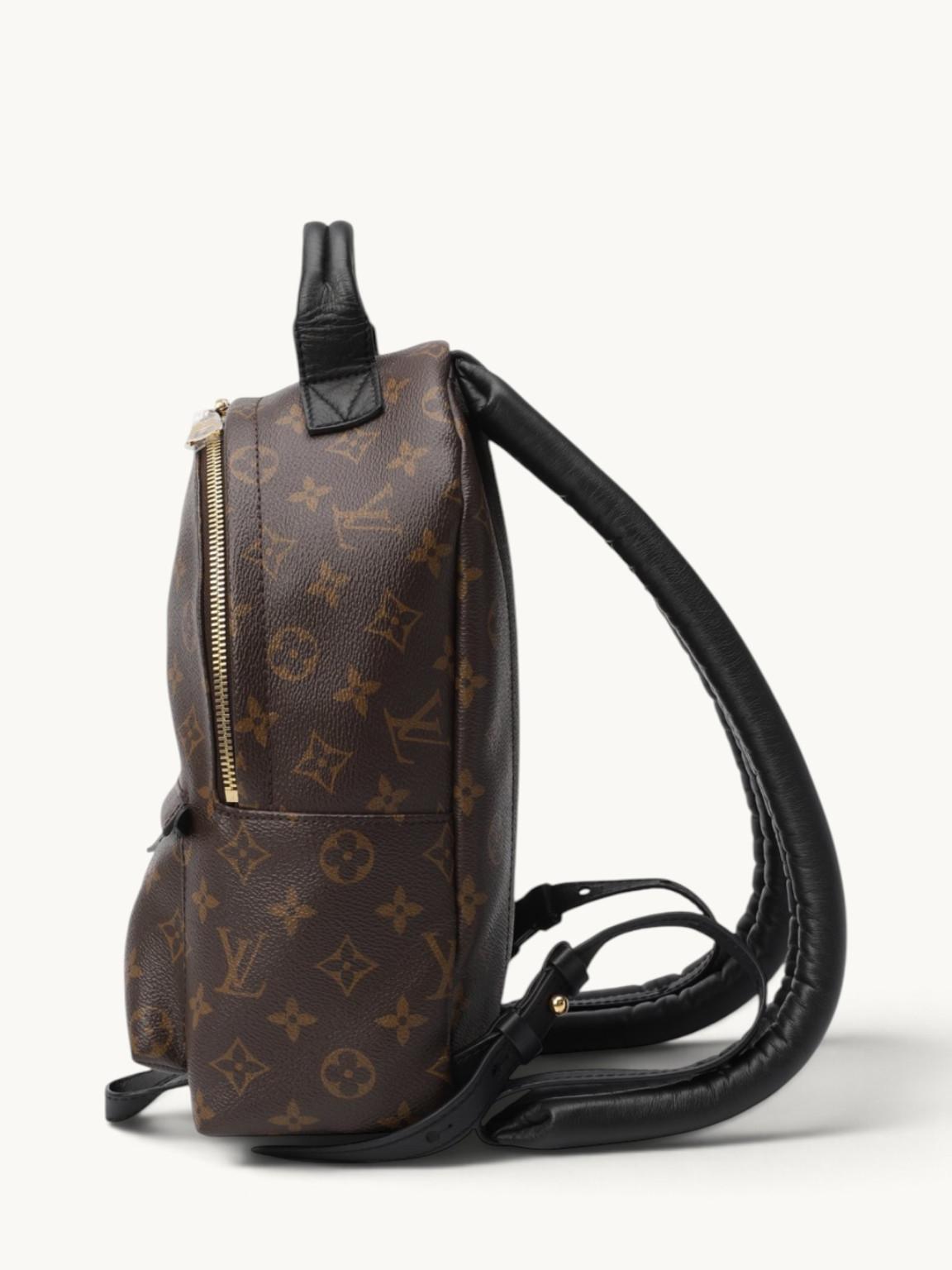 Louis Vuitton Palm Springs , фото 3