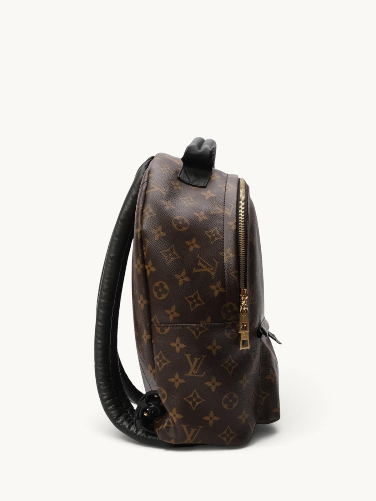 Louis Vuitton Palm Springs , фото 4