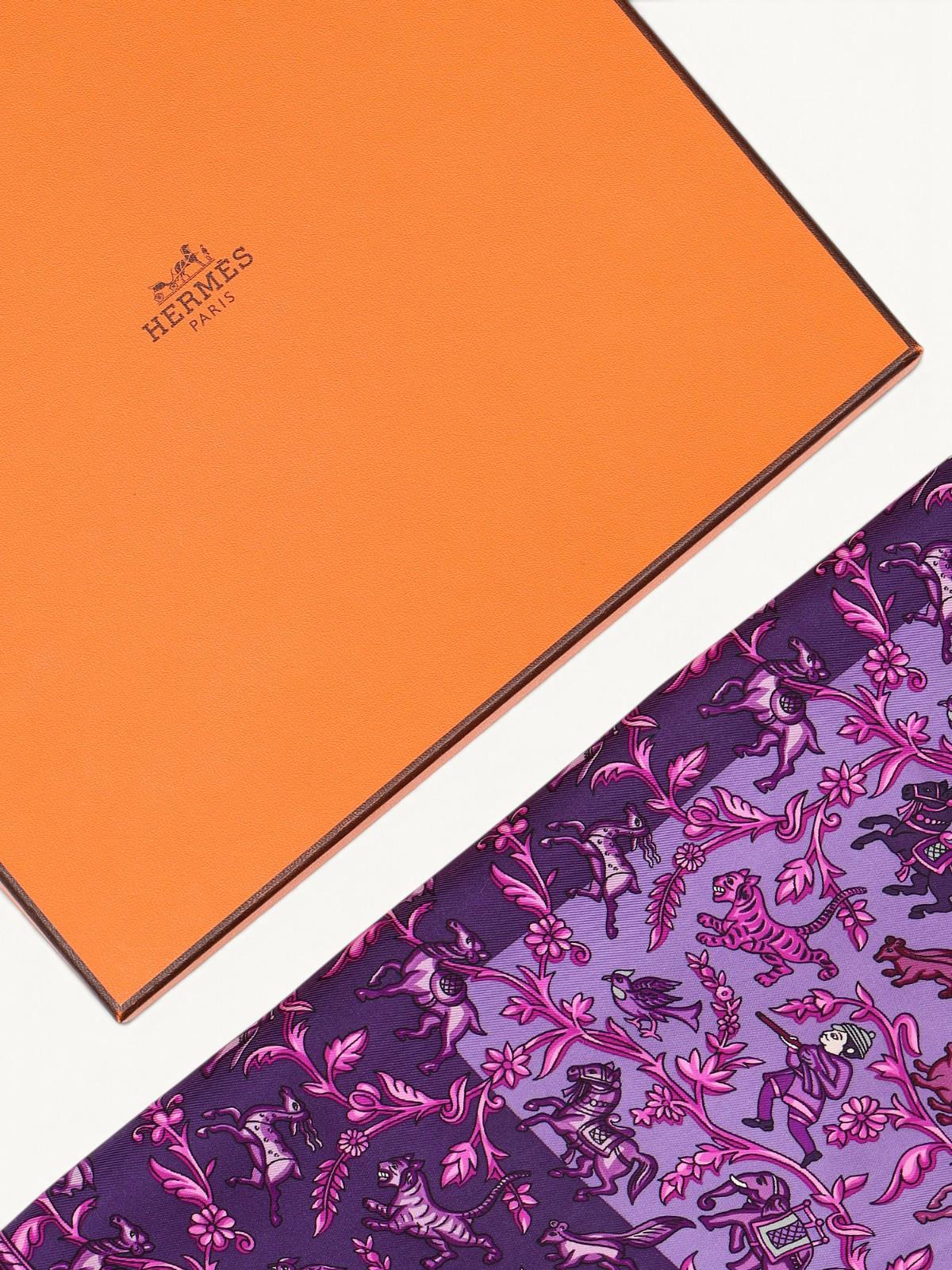 Hermes Chasse en Inde , фото 3