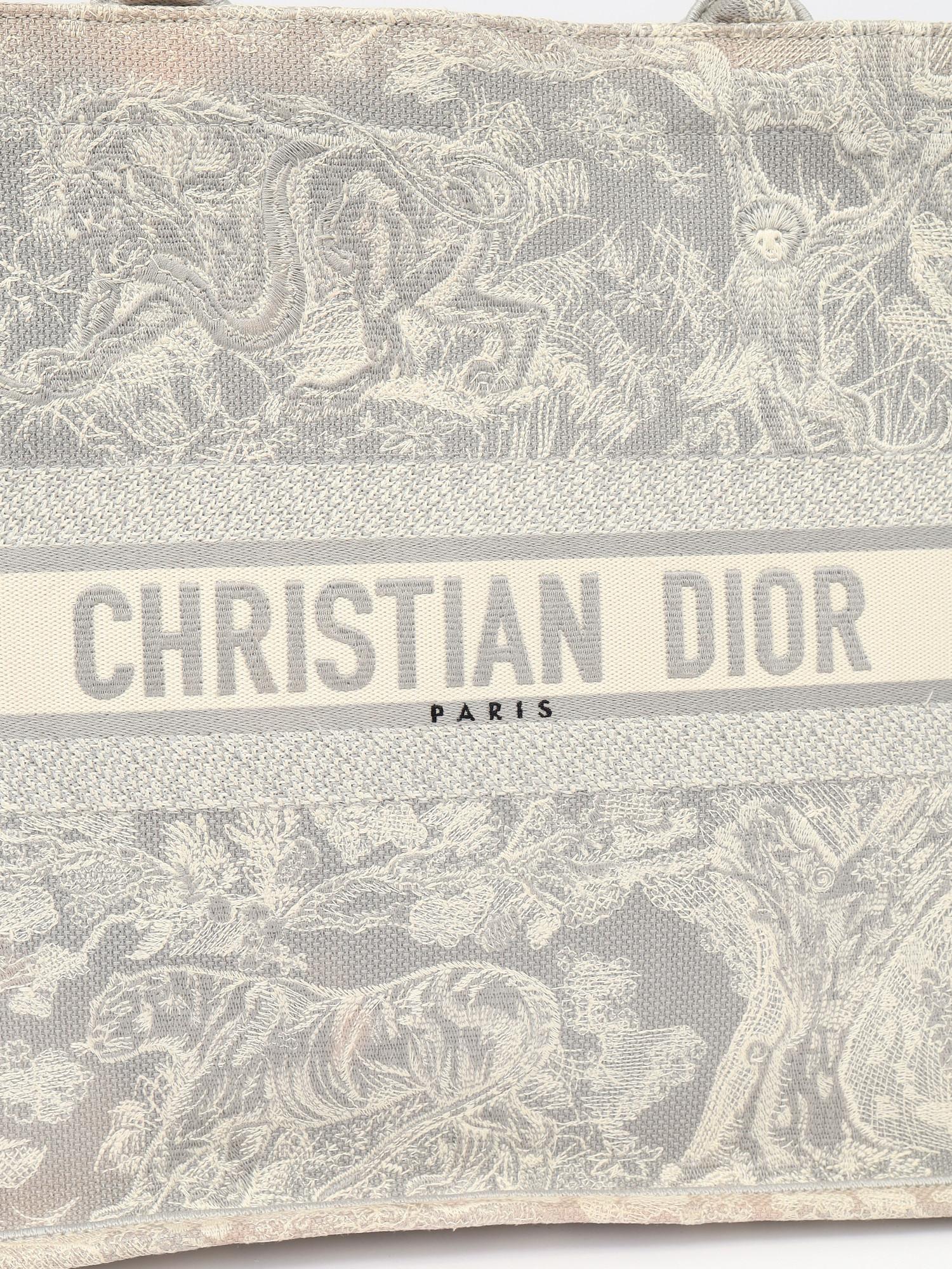 Dior Book Tote , фото 5