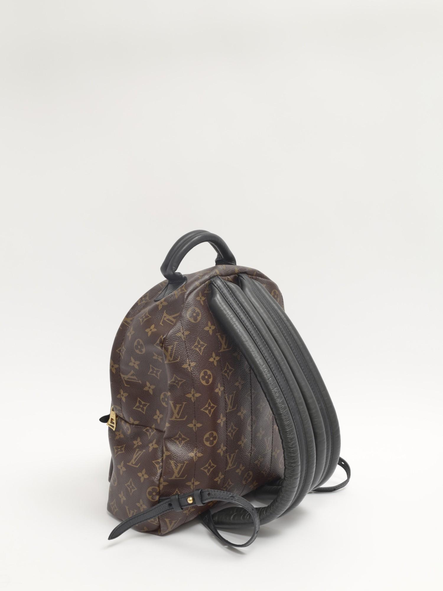 Louis Vuitton Palm Springs , фото 4