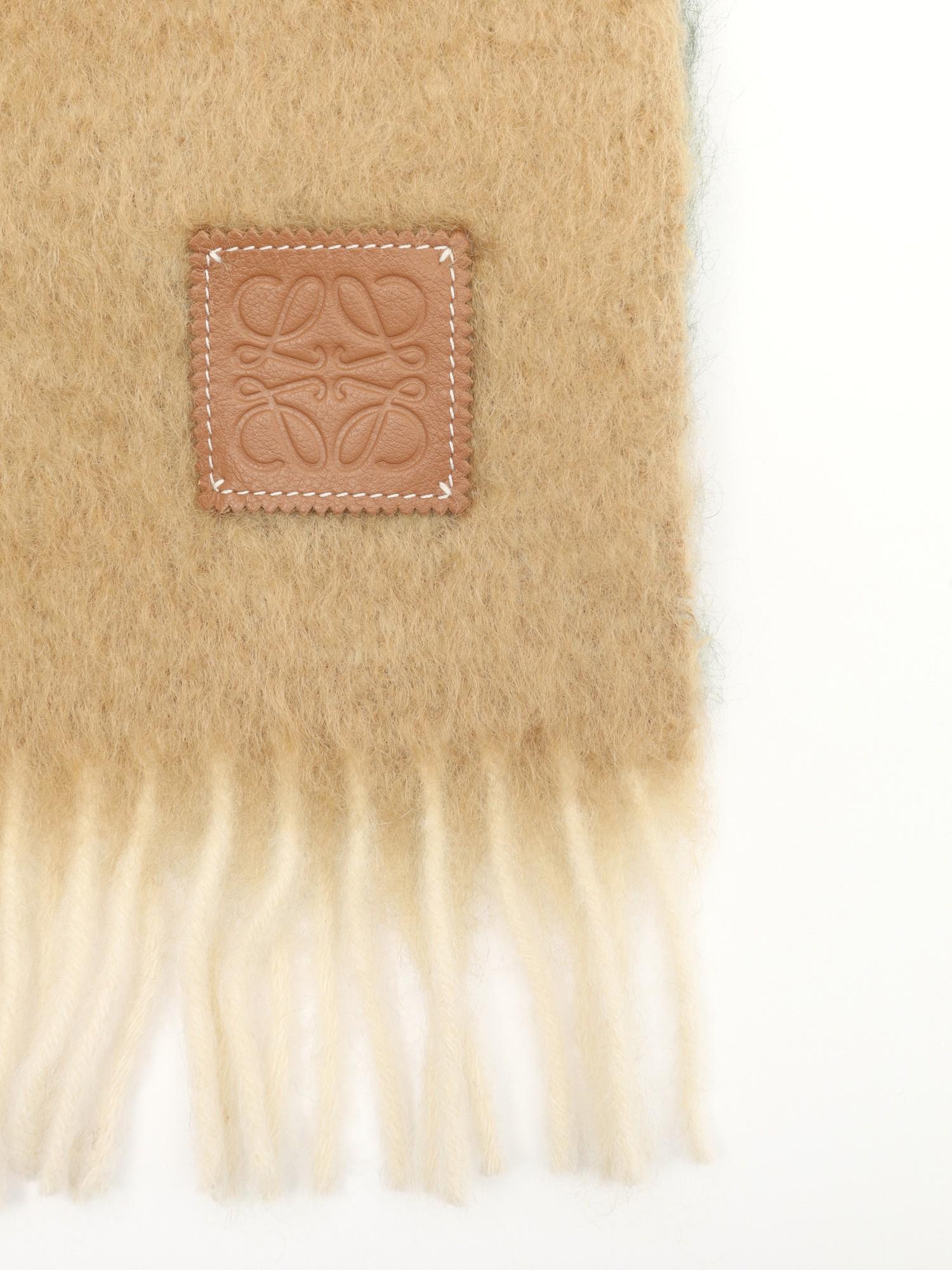 Loewe  , фото 3