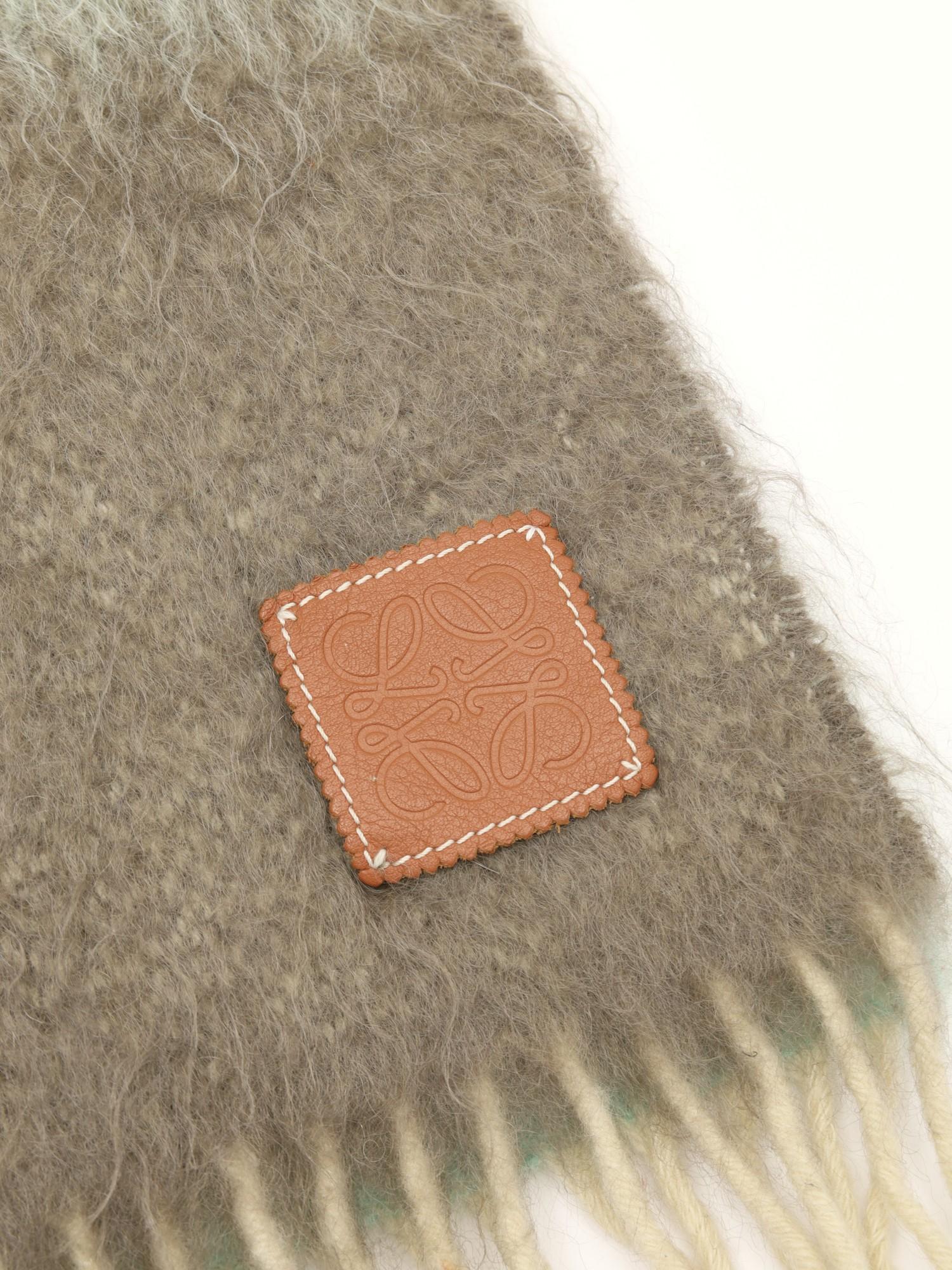 Loewe  , фото 4