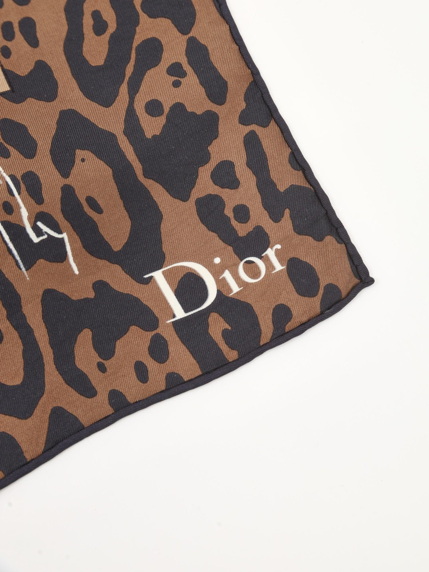 Dior  , фото 3