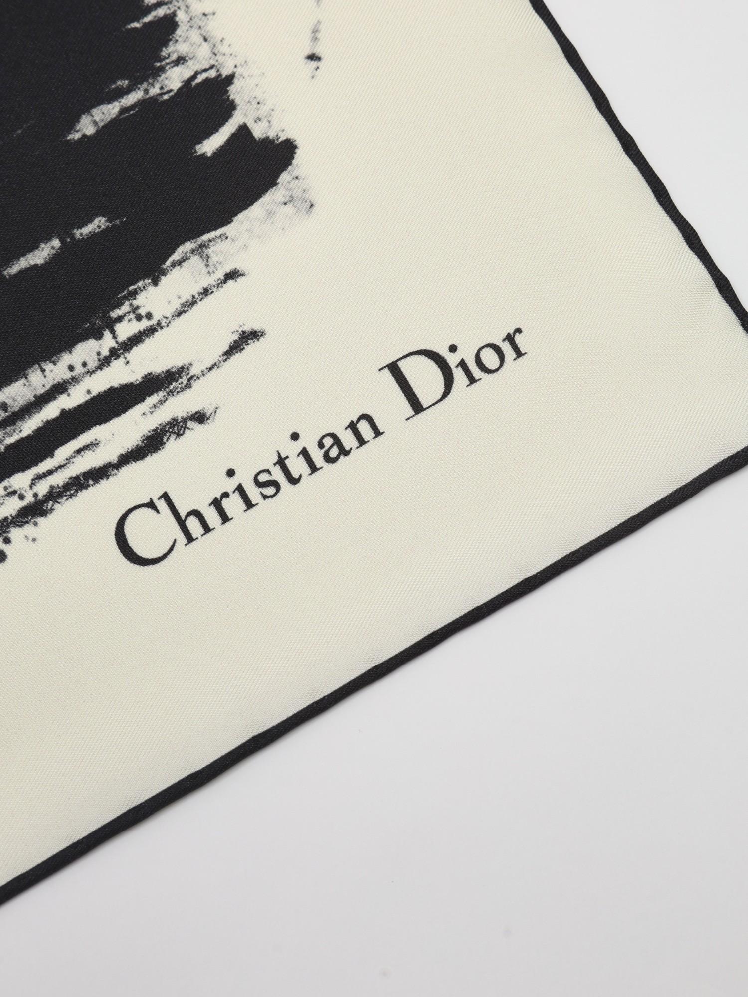 Dior  , фото 3