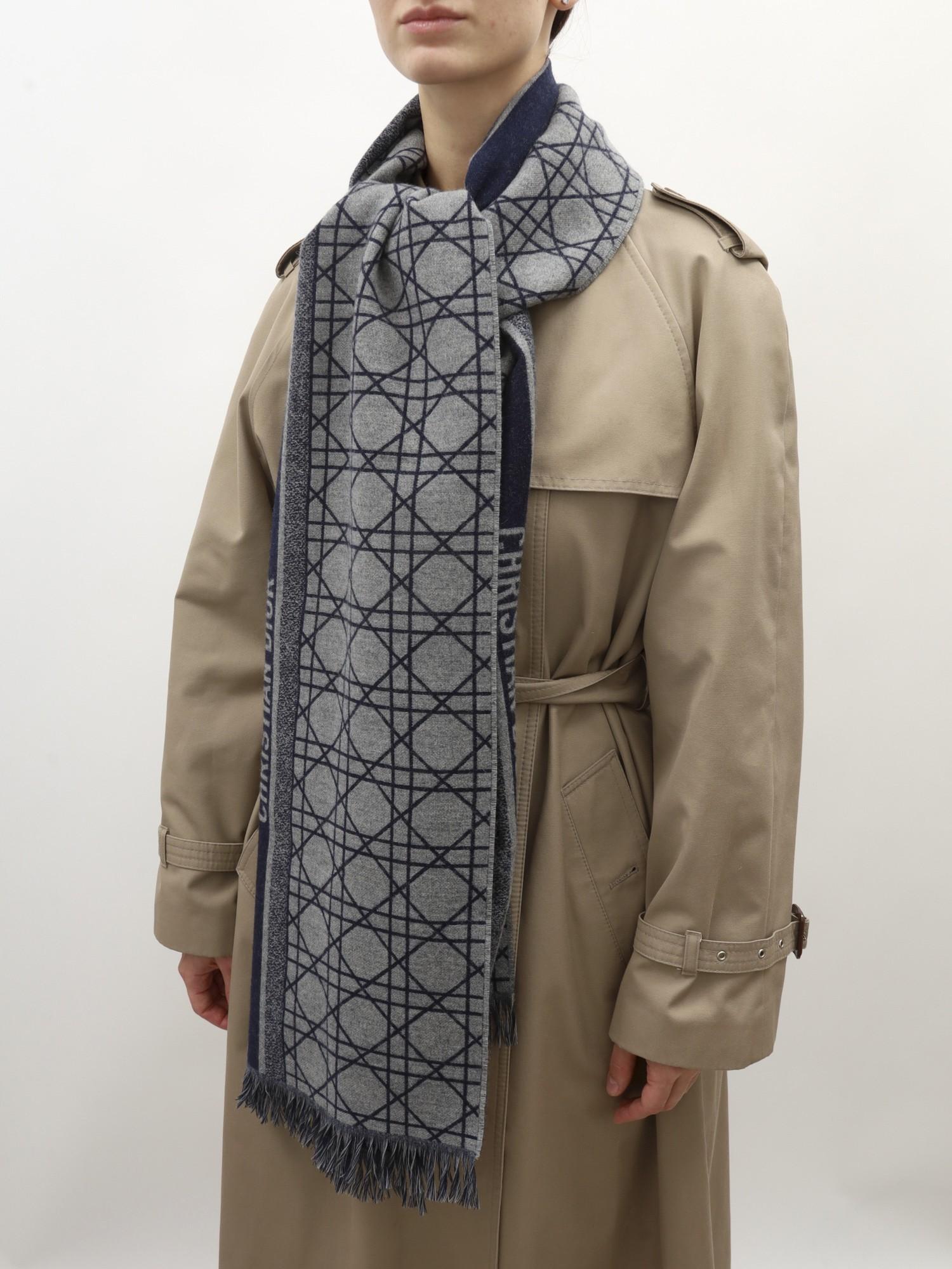 Dior  , фото 2
