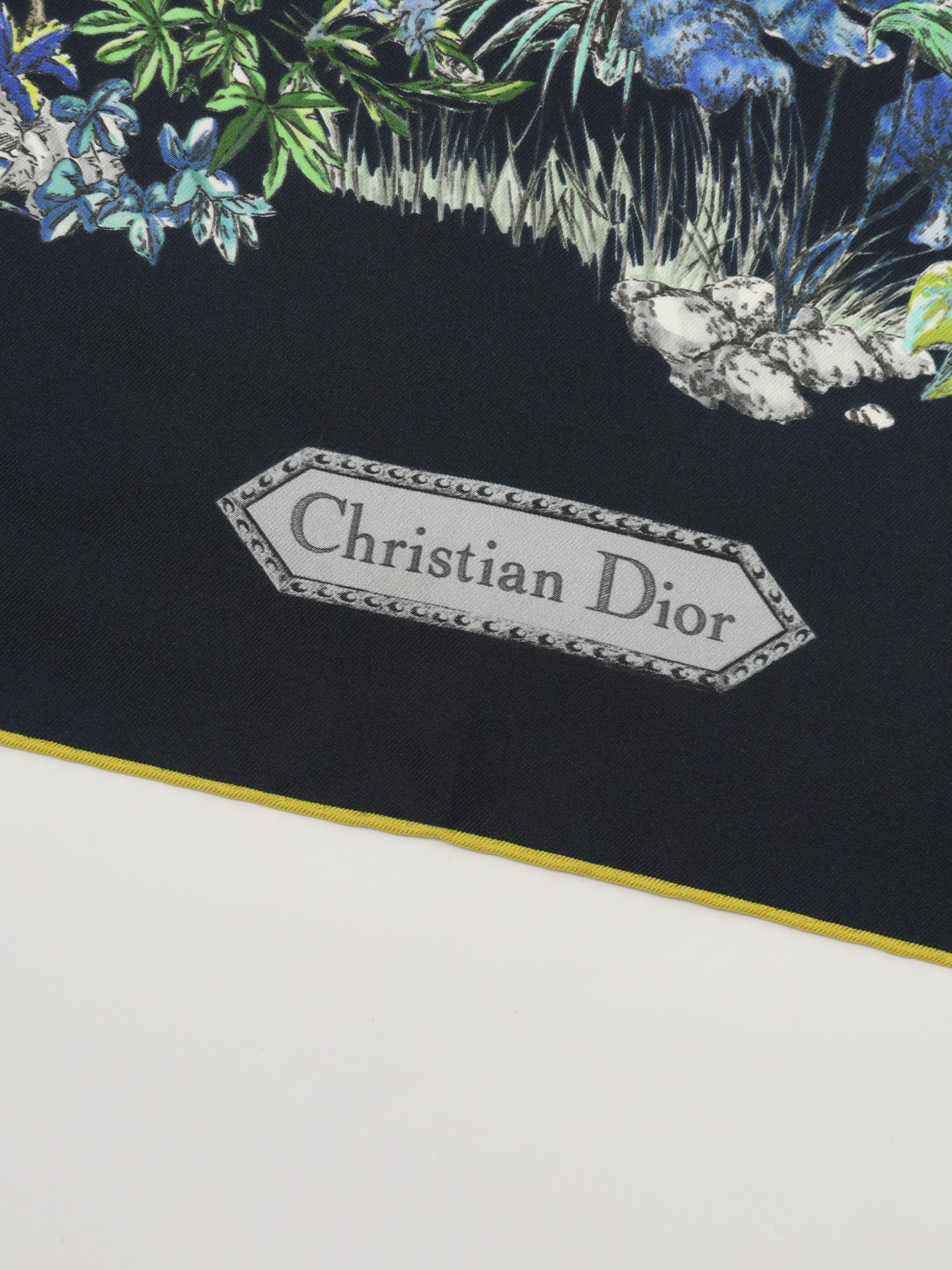 Dior  , фото 3