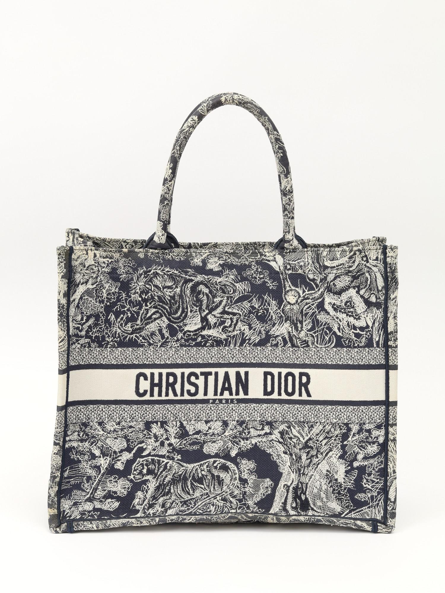 Dior Book Tote , фото 1