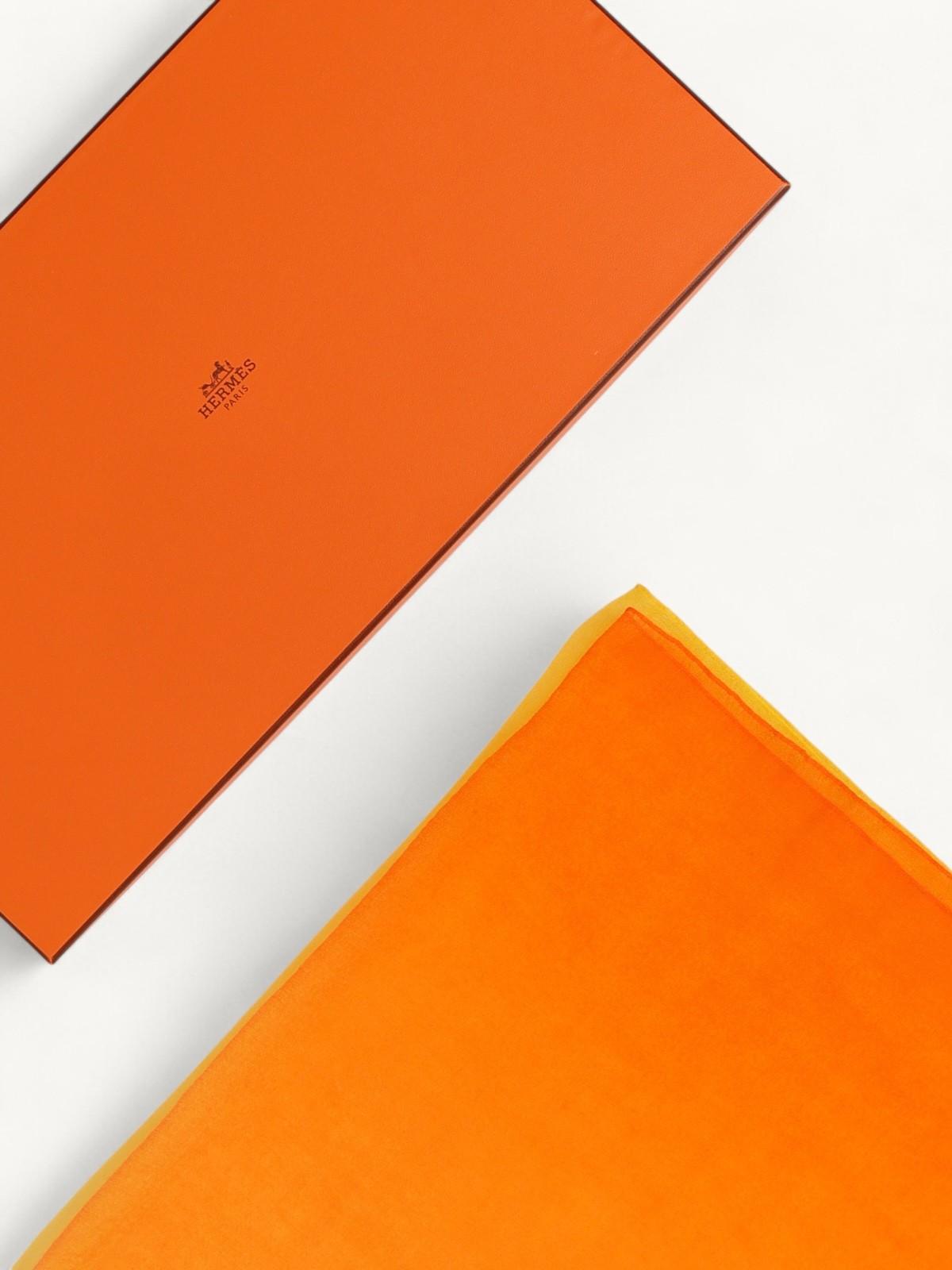 Hermes  , фото 5