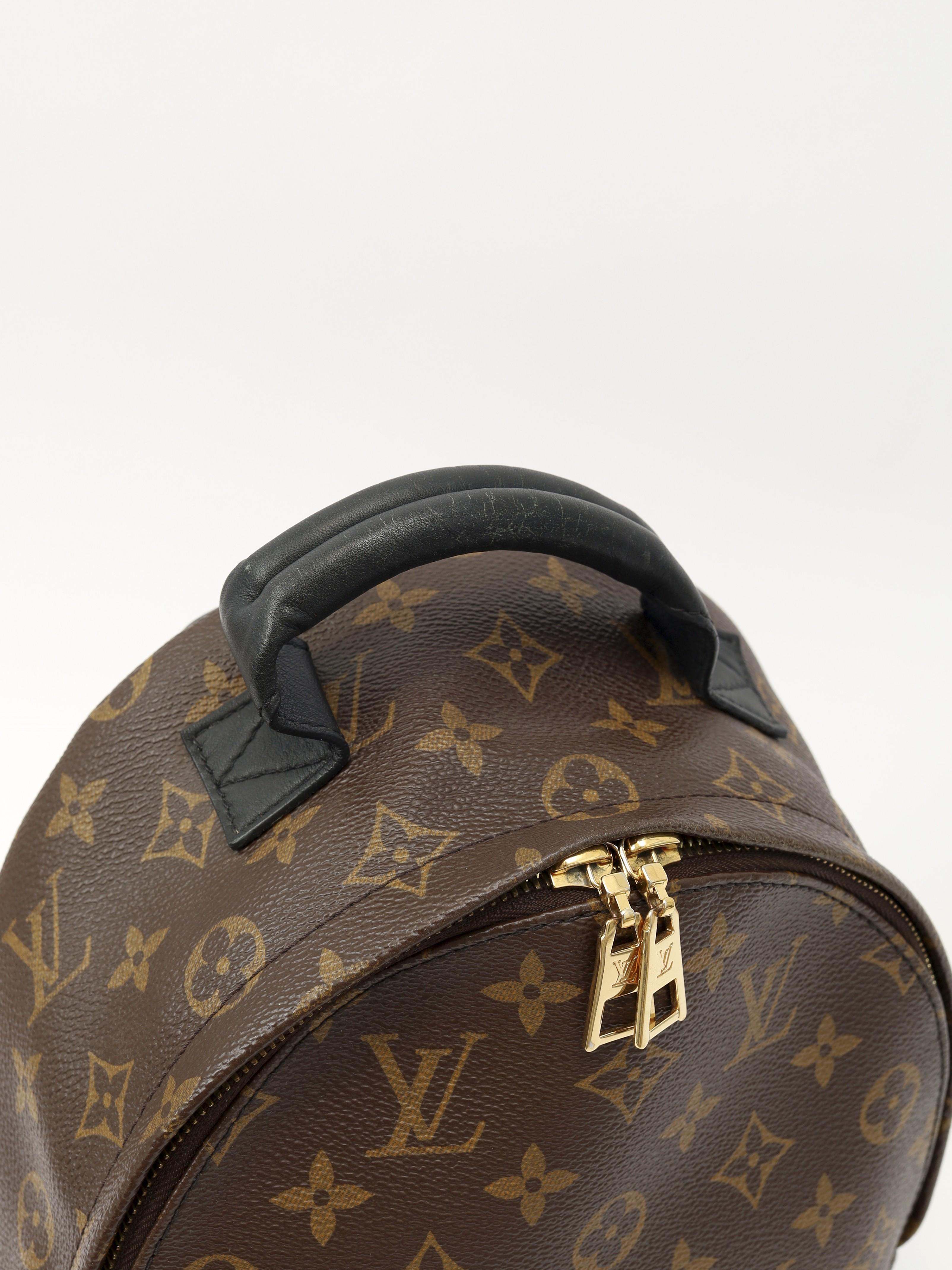 Louis Vuitton Palm Springs , фото 5