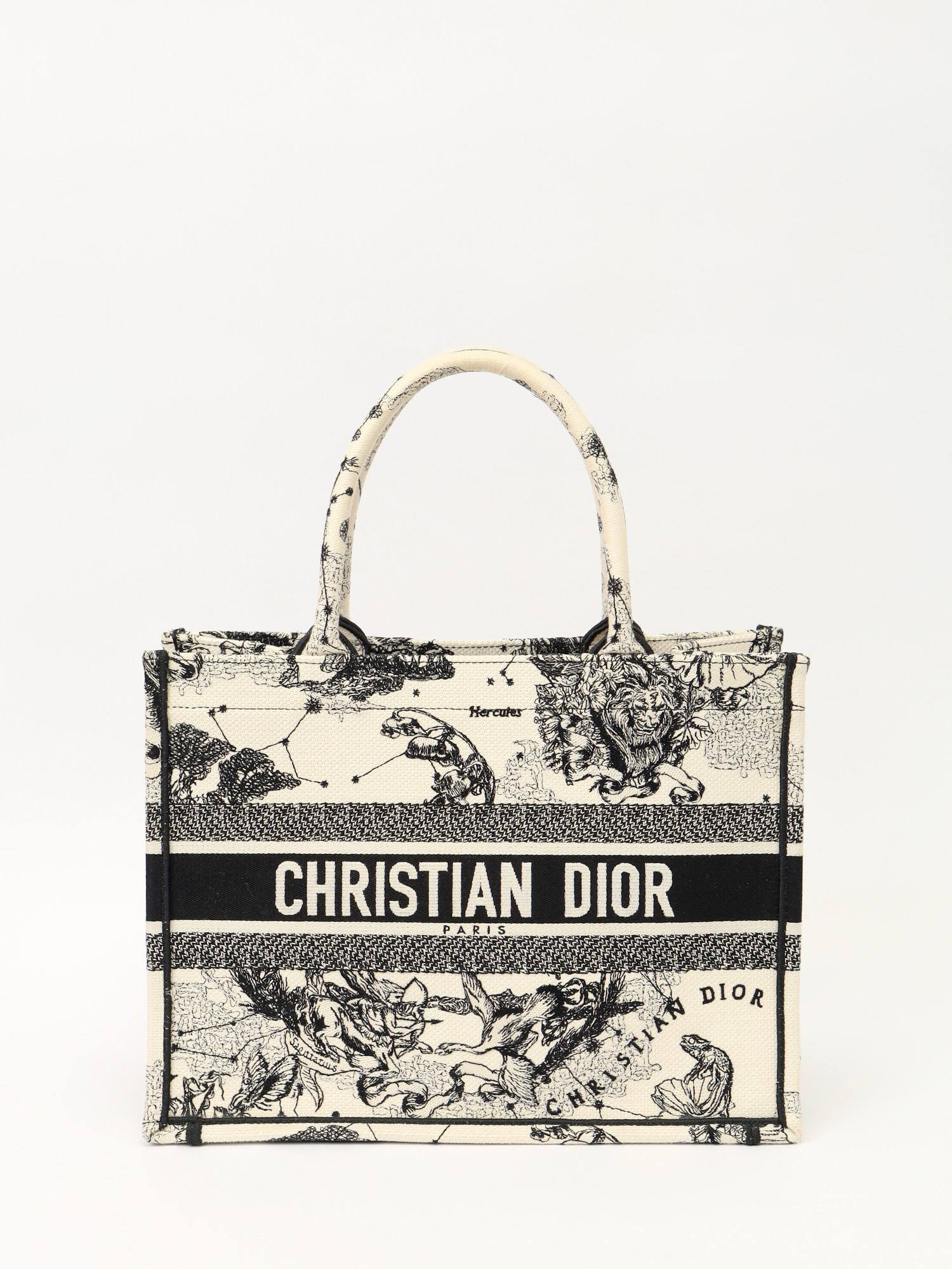 Dior Book Tote , фото 1