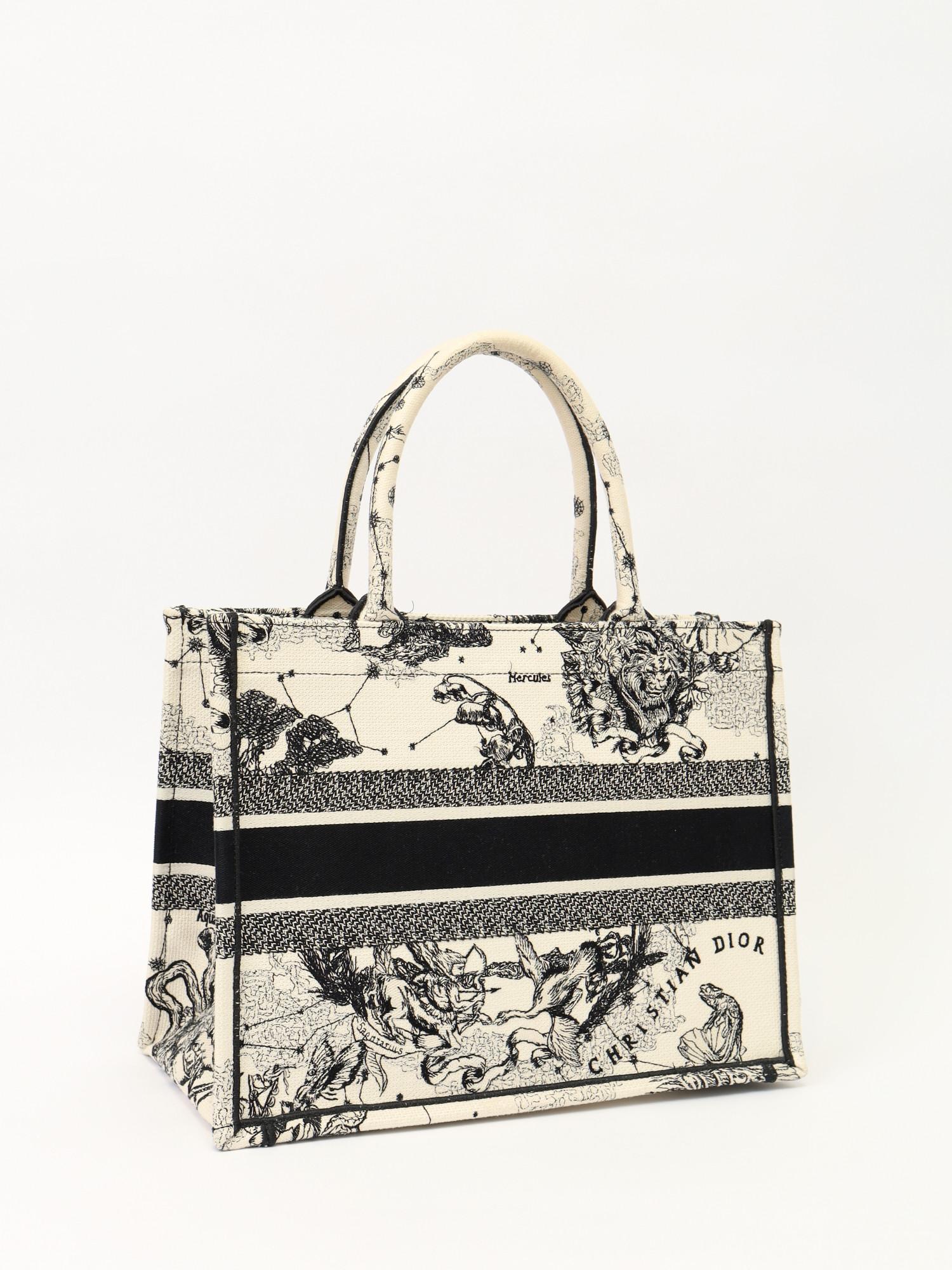 Dior Book Tote , фото 4