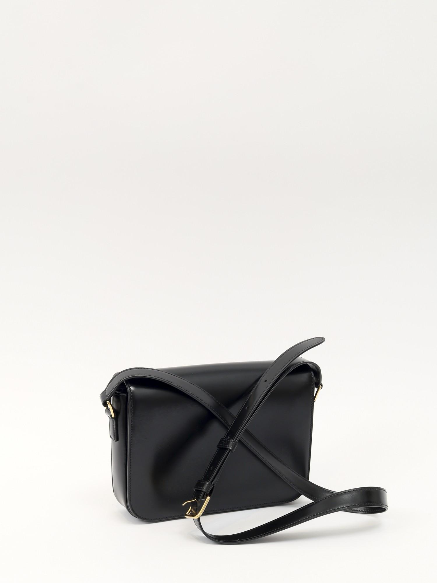 Celine Triomphe , фото 4
