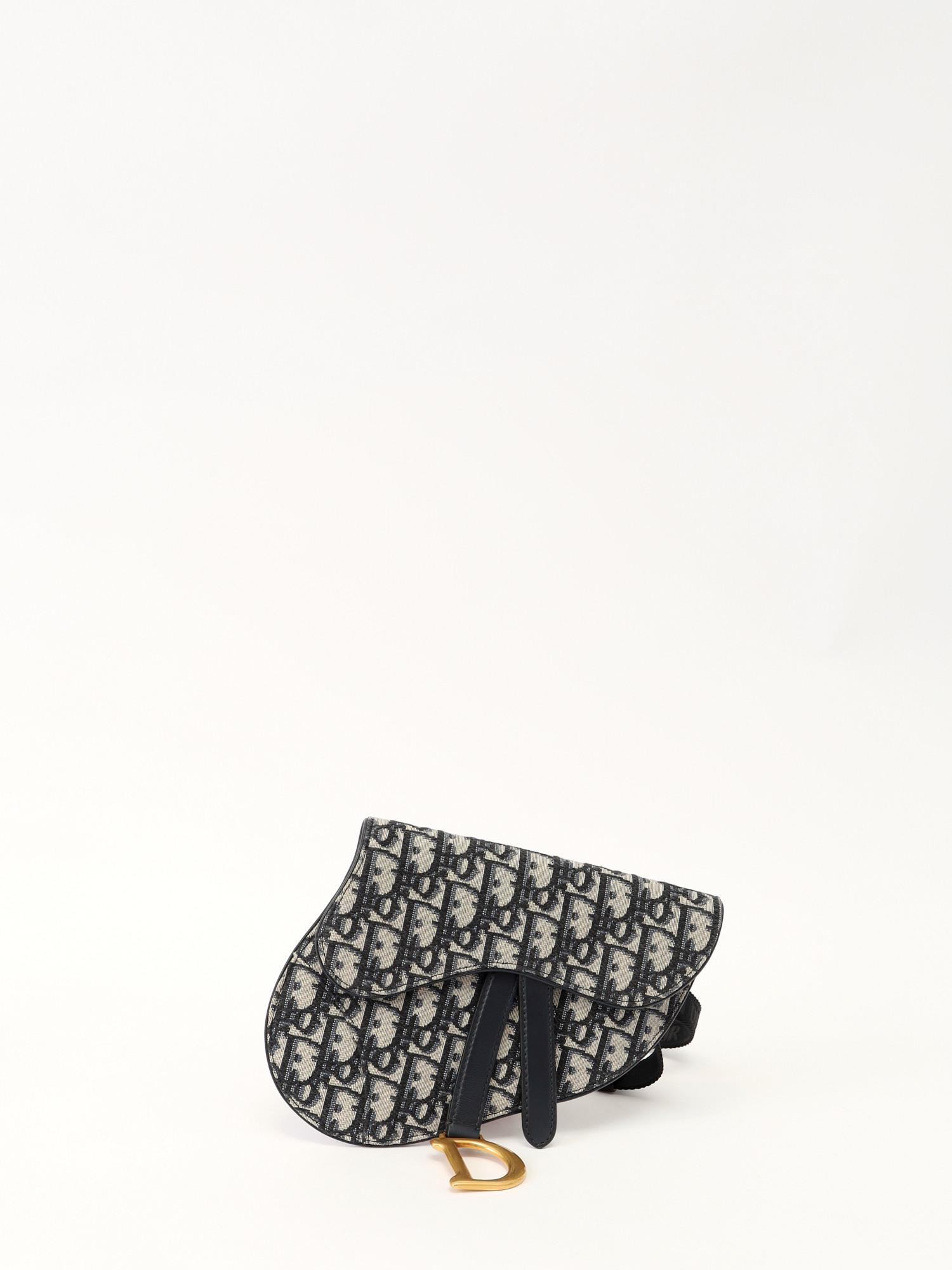 Dior Saddle , фото 1