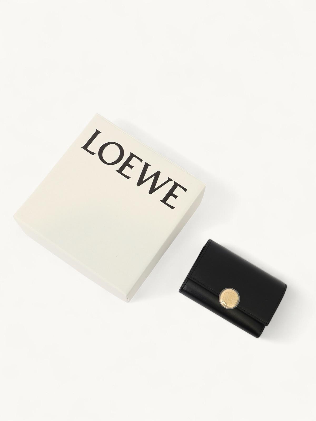 Loewe  , фото 2