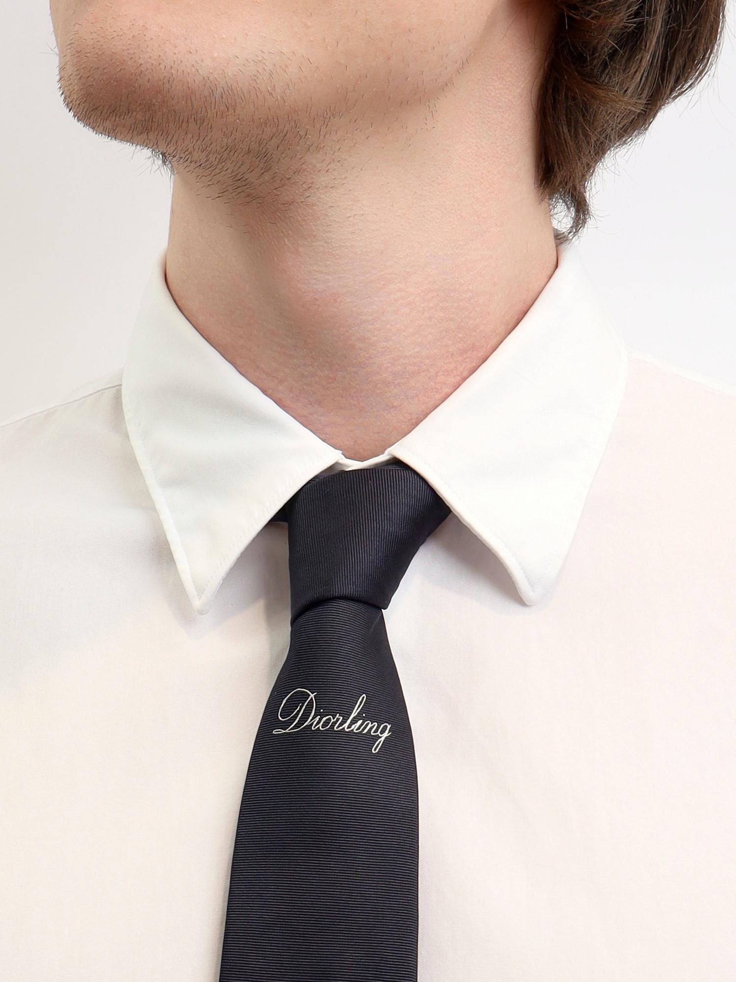 Dior Tie , фото 2